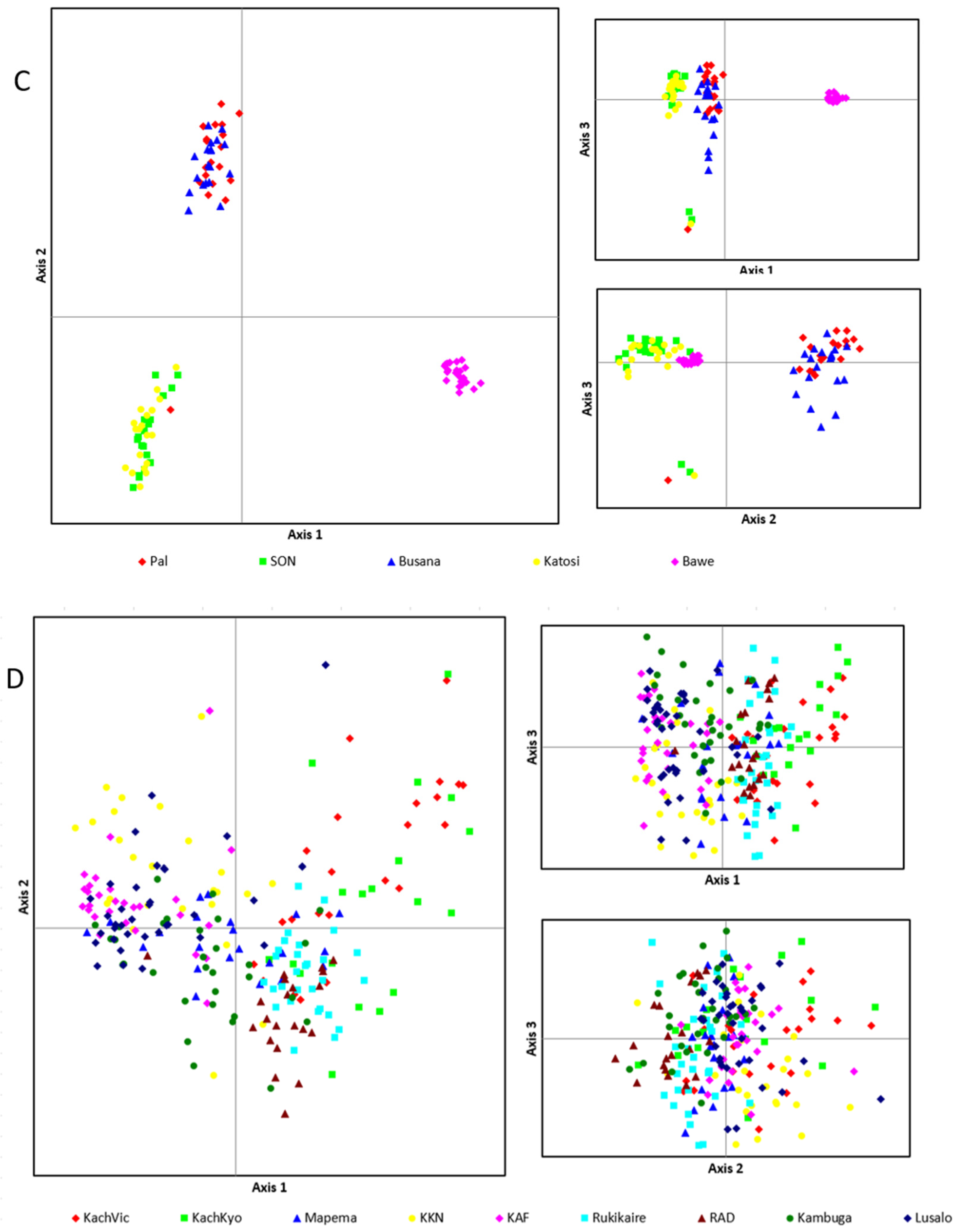 Diversity 17 00128 g006b