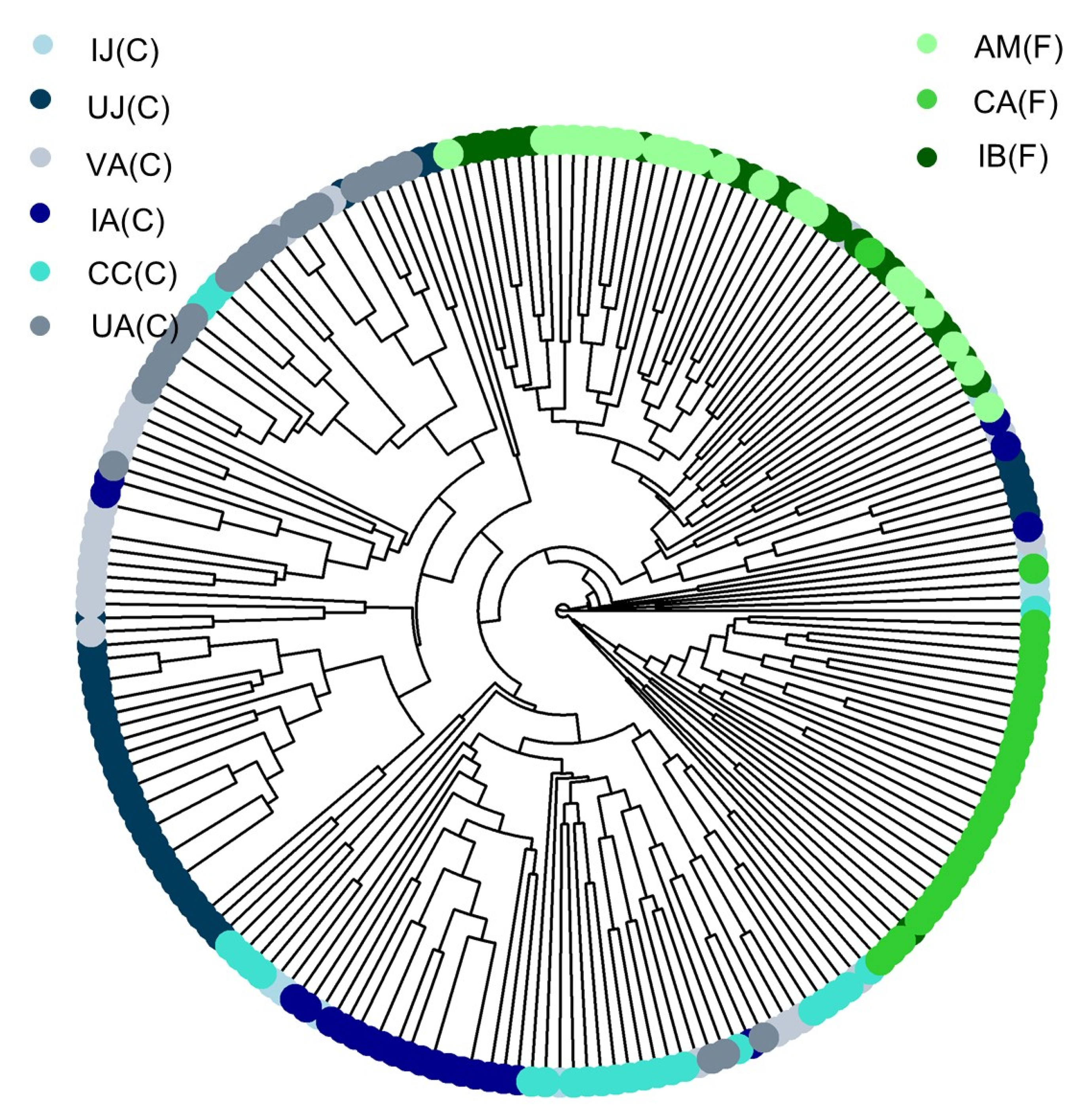 Diversity 17 00129 g005