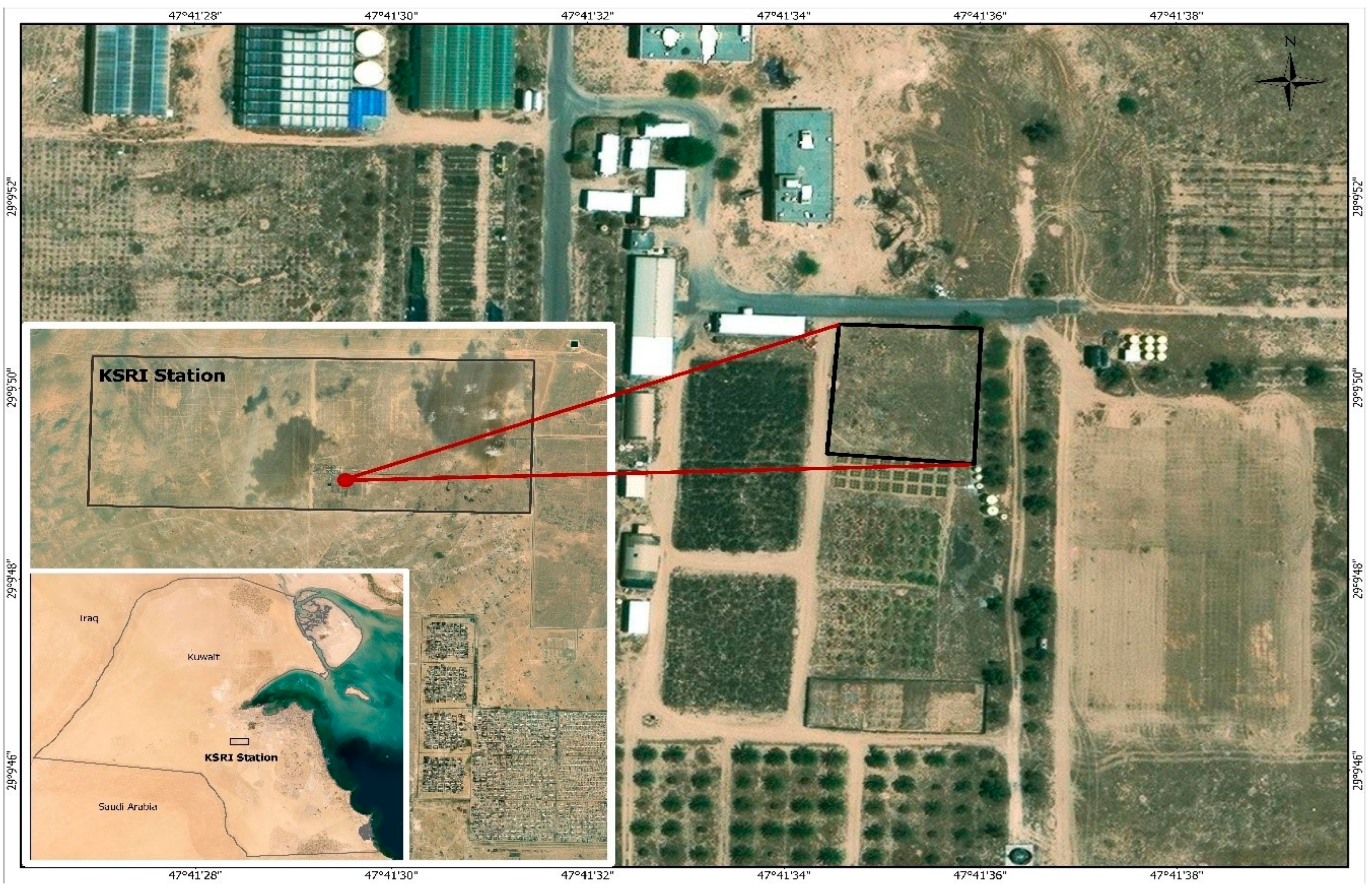 Diversity 17 00130 g001