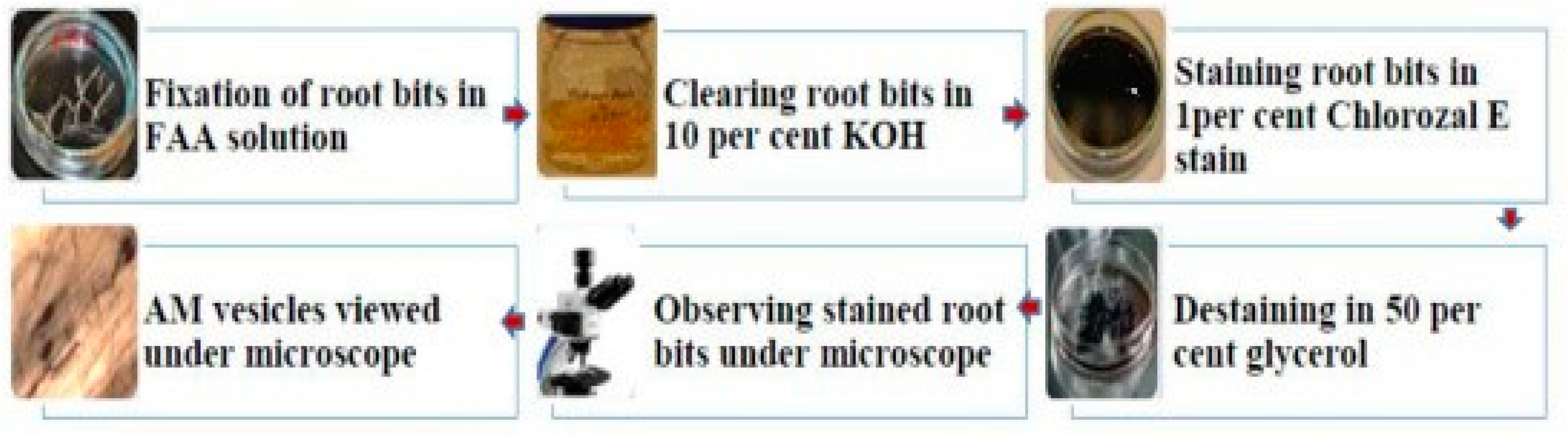 Diversity 17 00130 g002