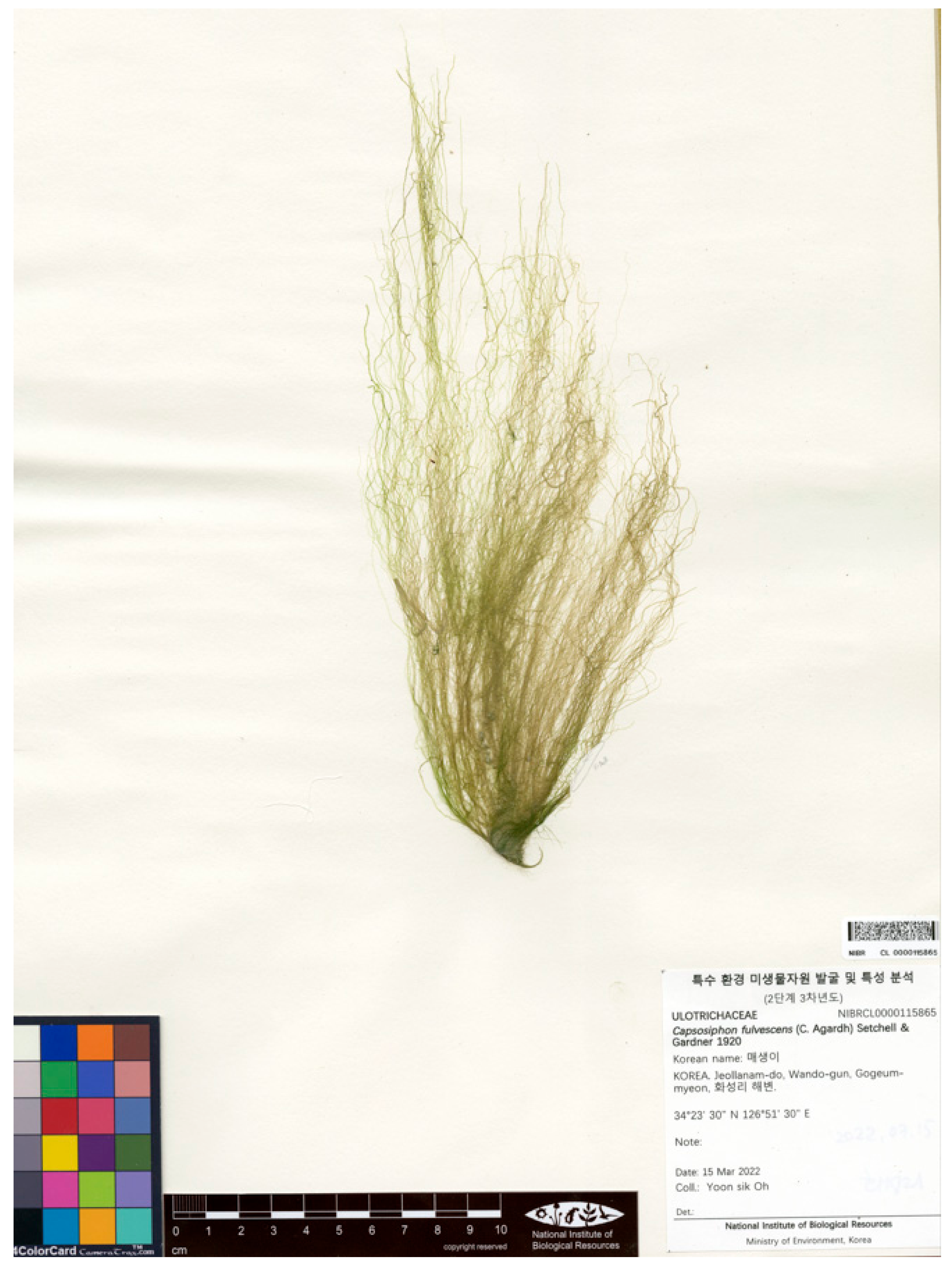 Diversity 17 00132 g002