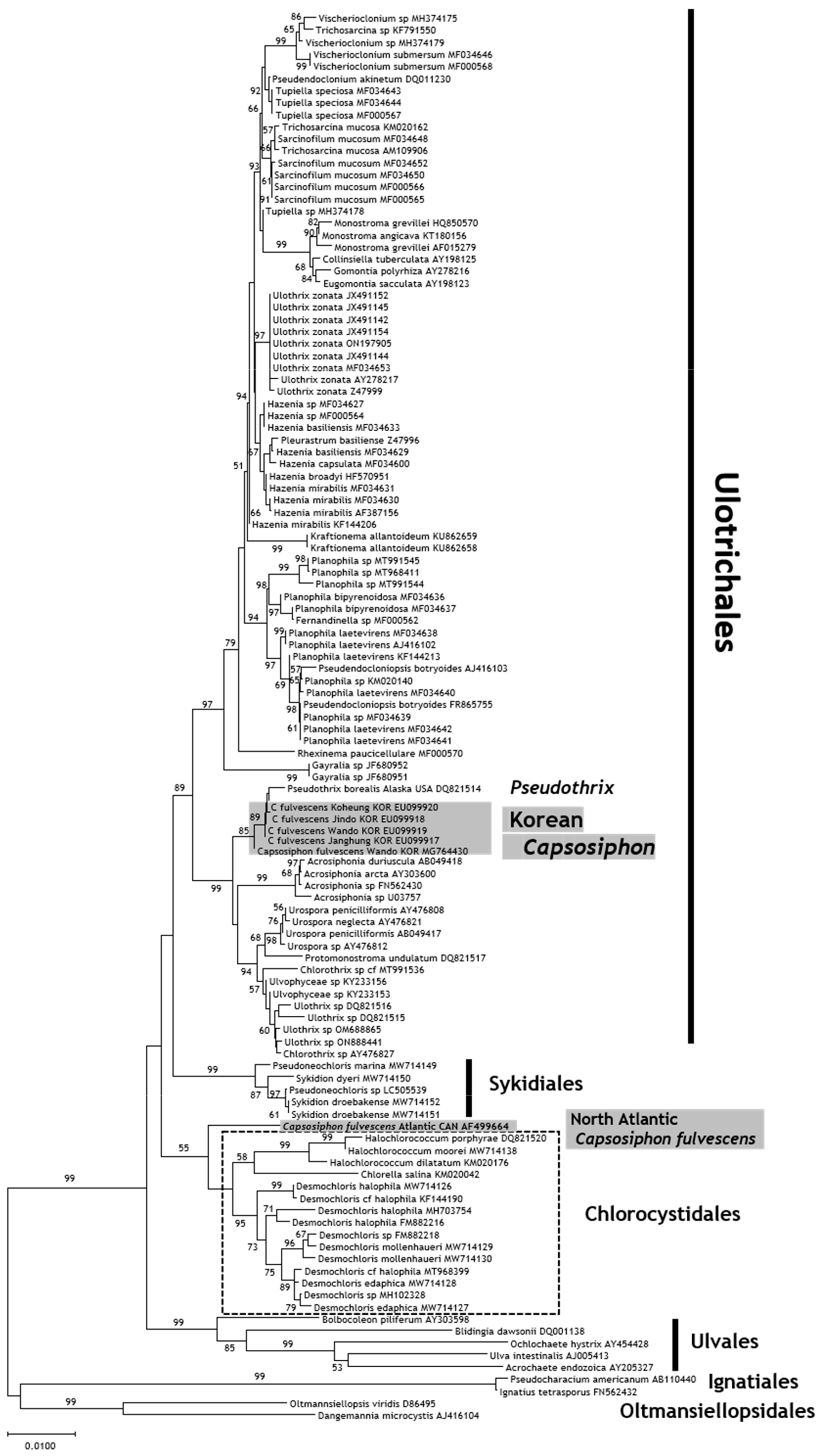 Diversity 17 00132 g004