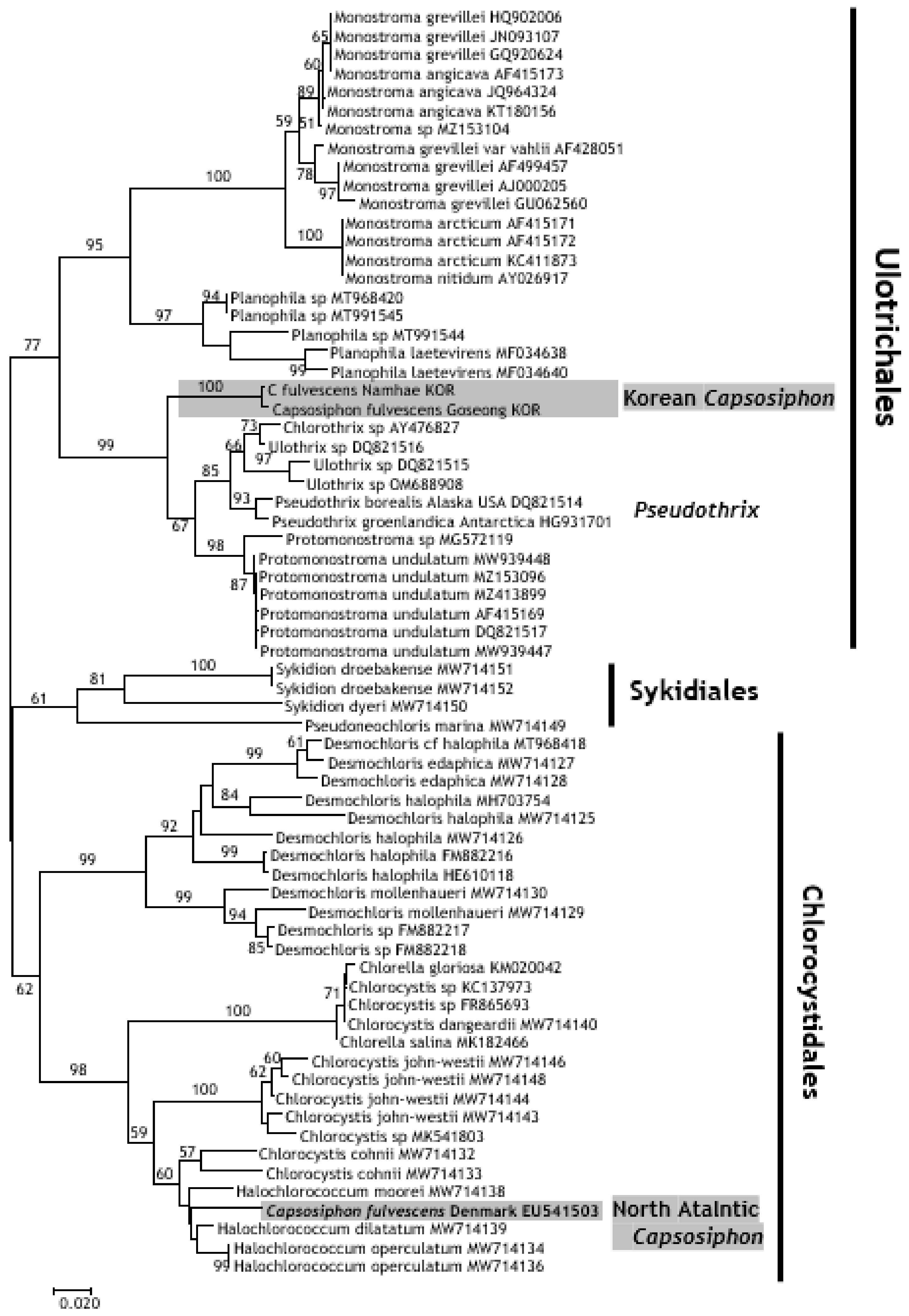 Diversity 17 00132 g005