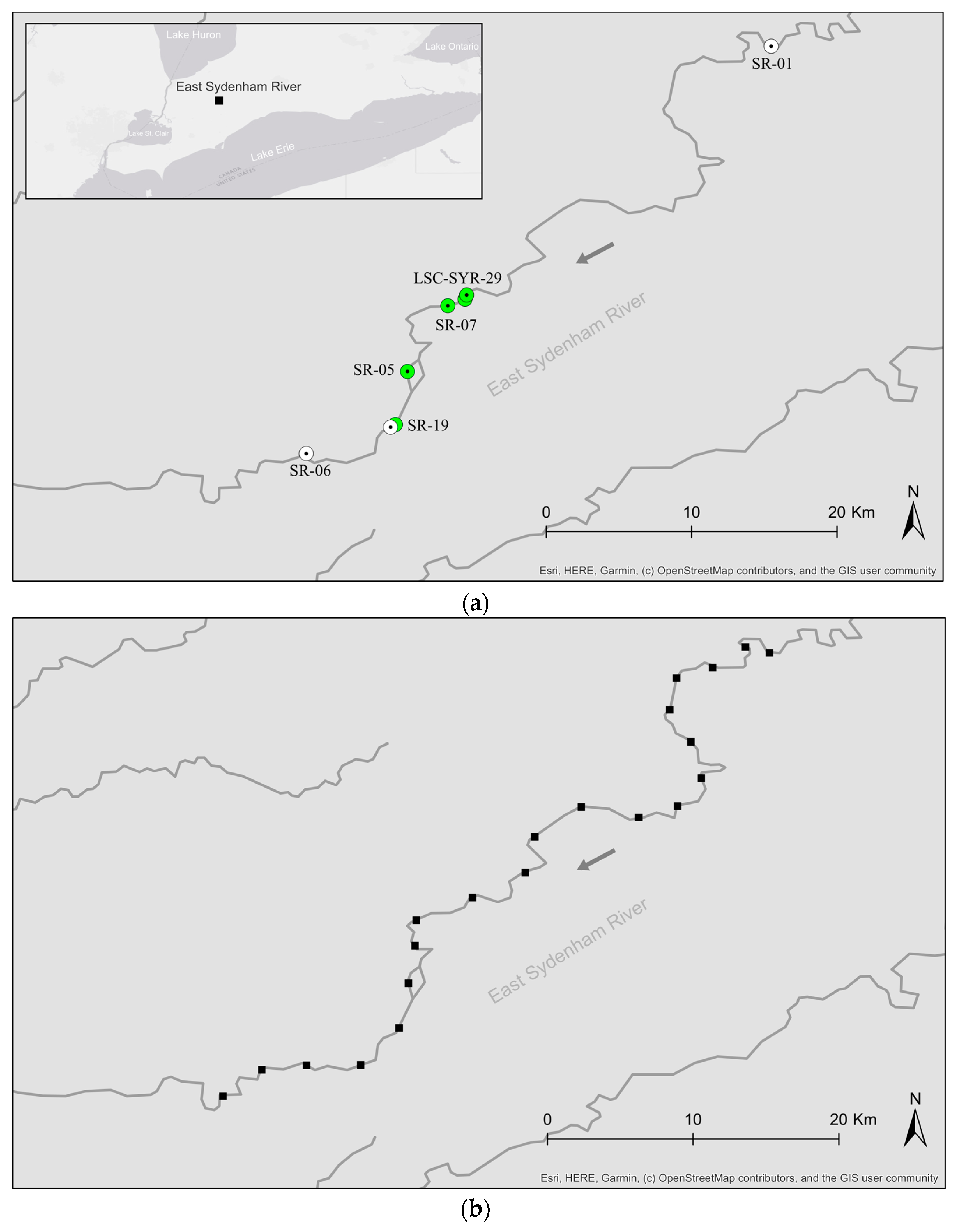 Diversity 17 00133 g001a