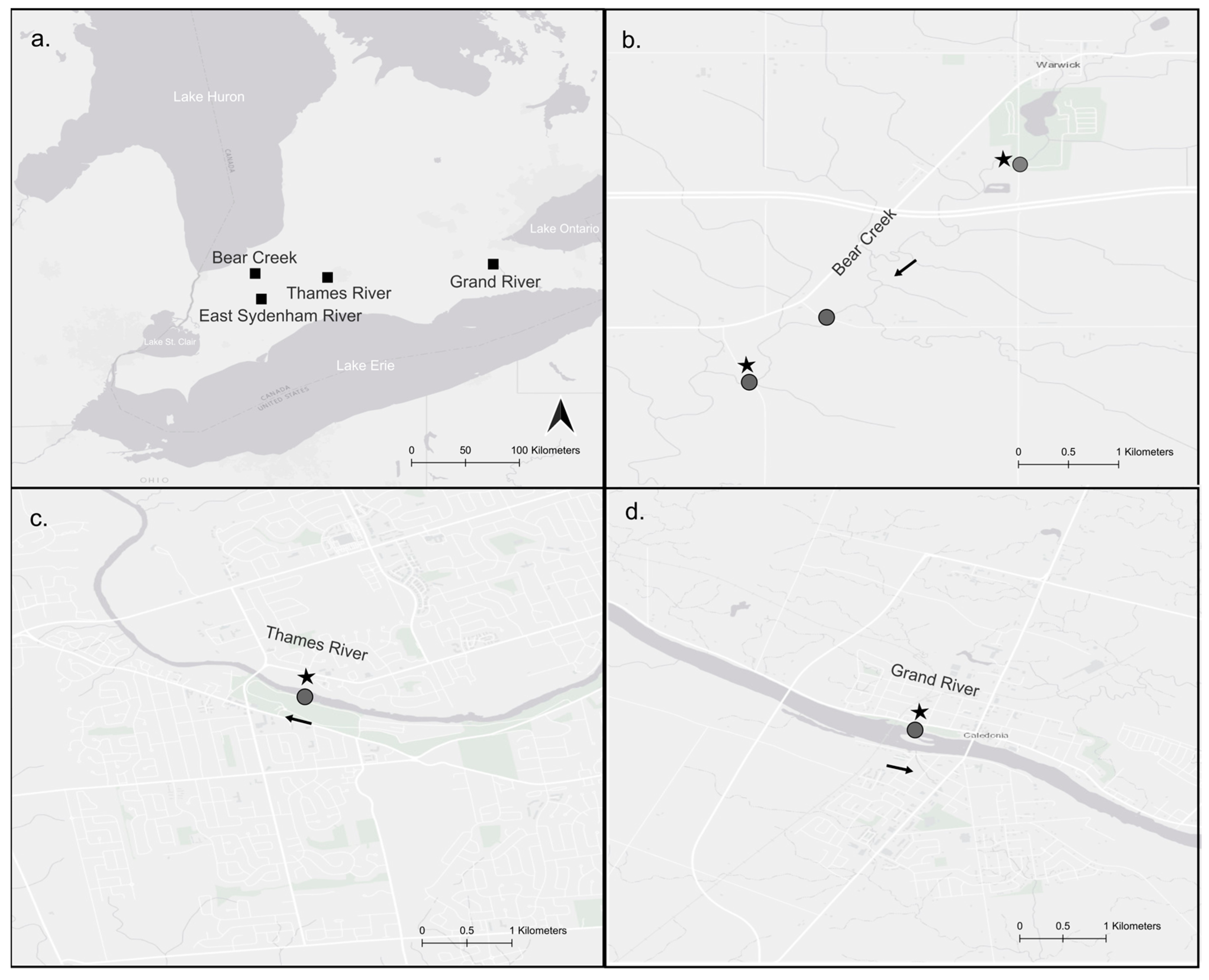 Diversity 17 00133 g002