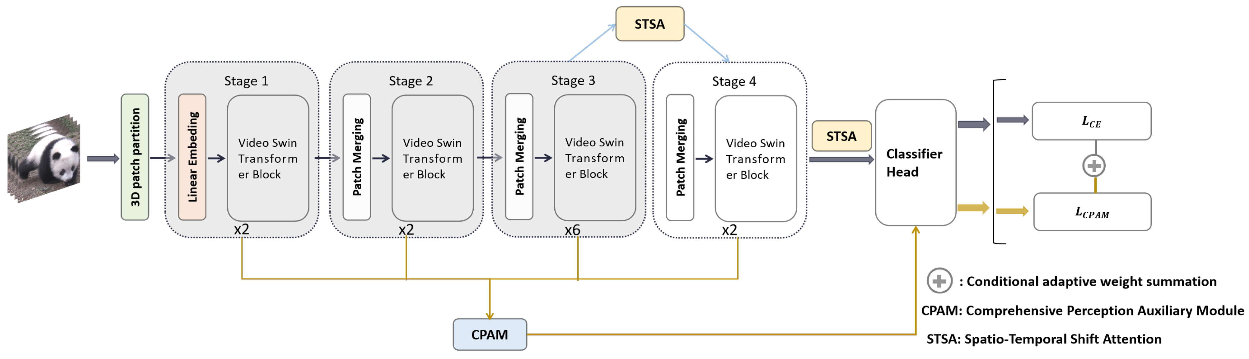 Diversity 17 00139 g001
