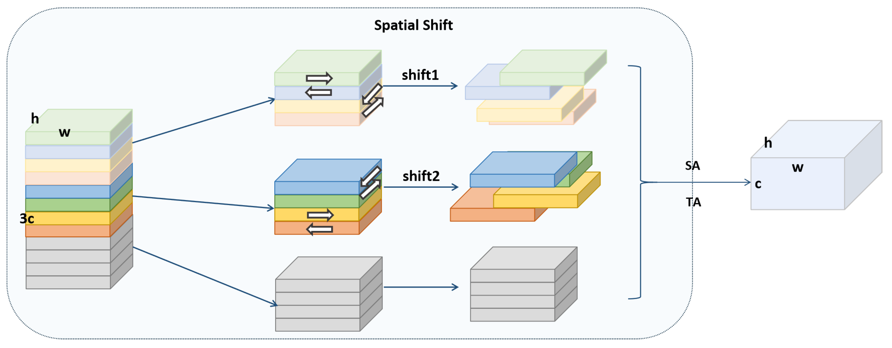 Diversity 17 00139 g004