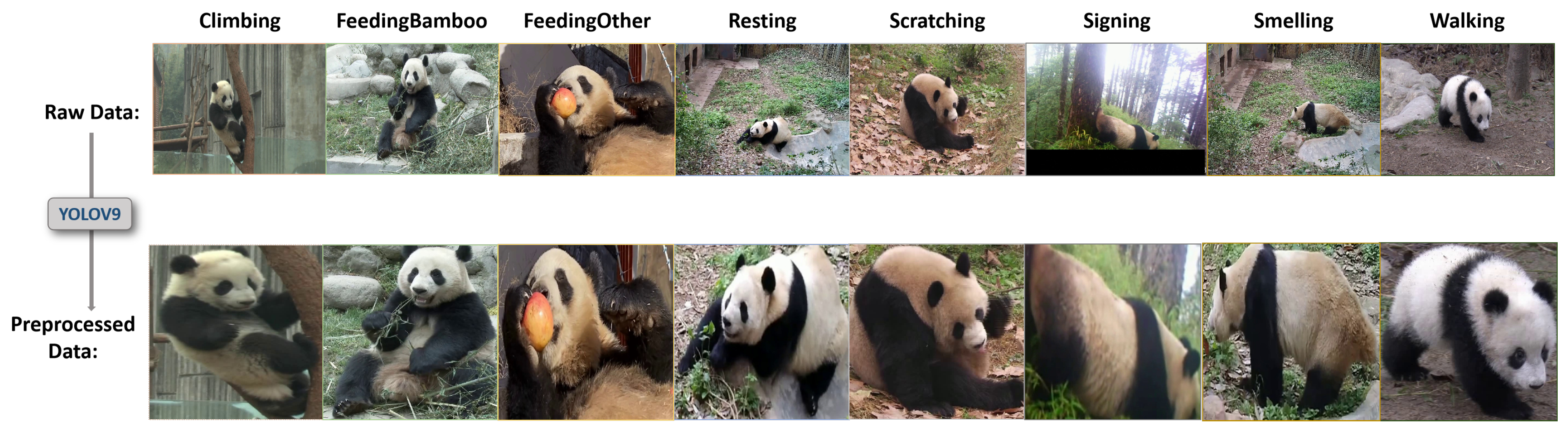 Diversity 17 00139 g007