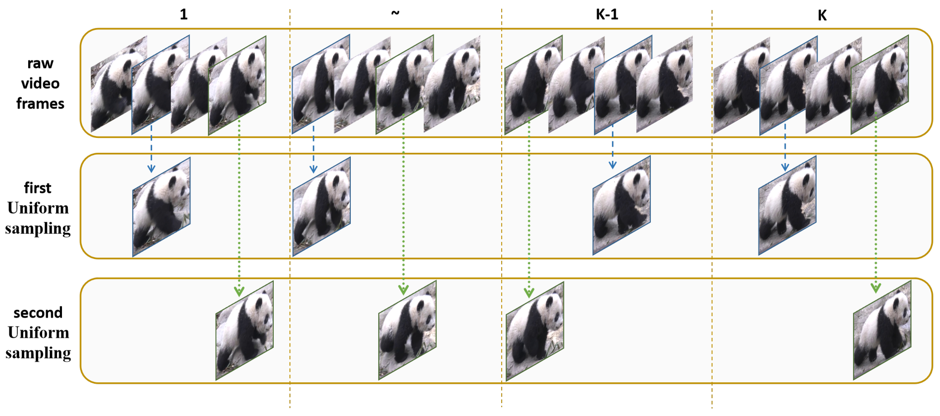 Diversity 17 00139 g009