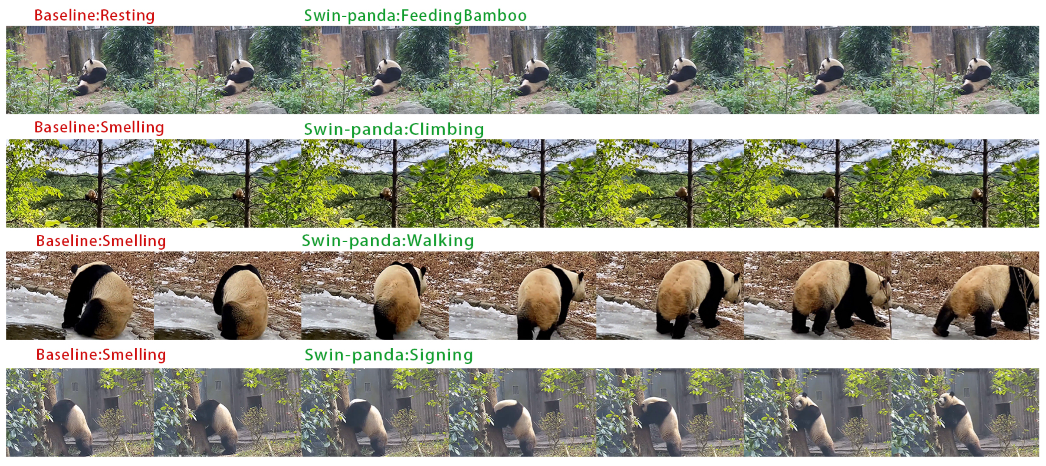 Diversity 17 00139 g012