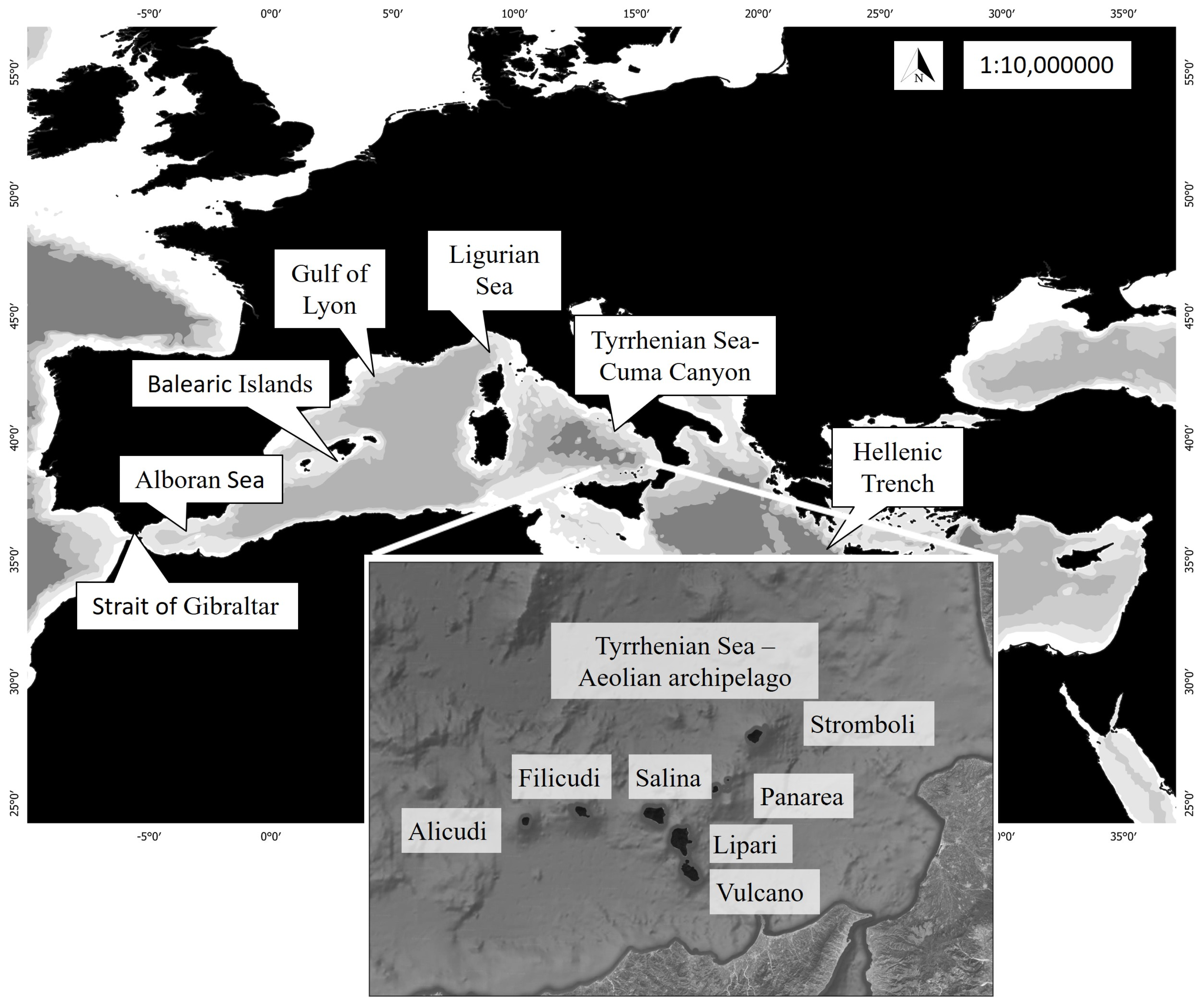 Diversity 17 00147 g001