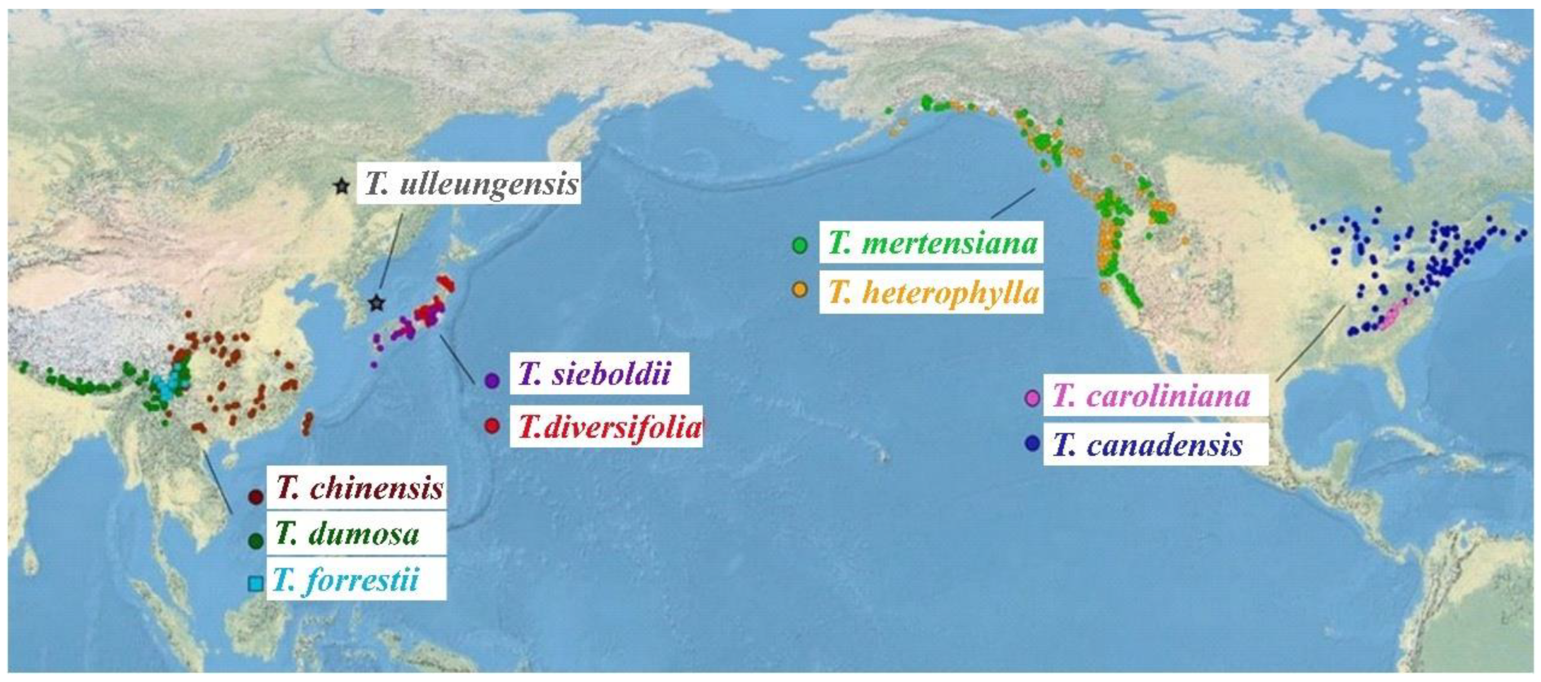 Diversity 17 00148 g001