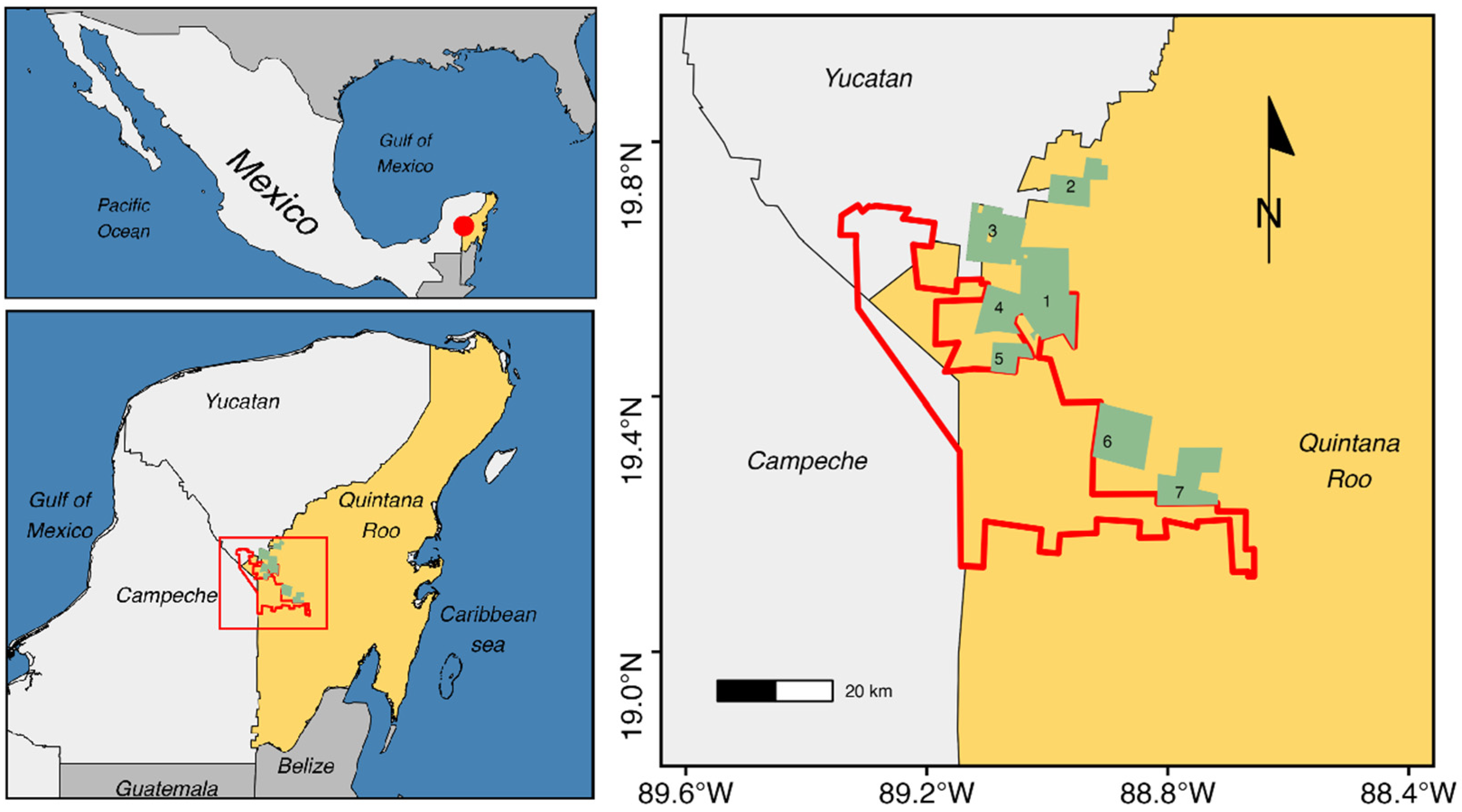 Diversity 17 00152 g001