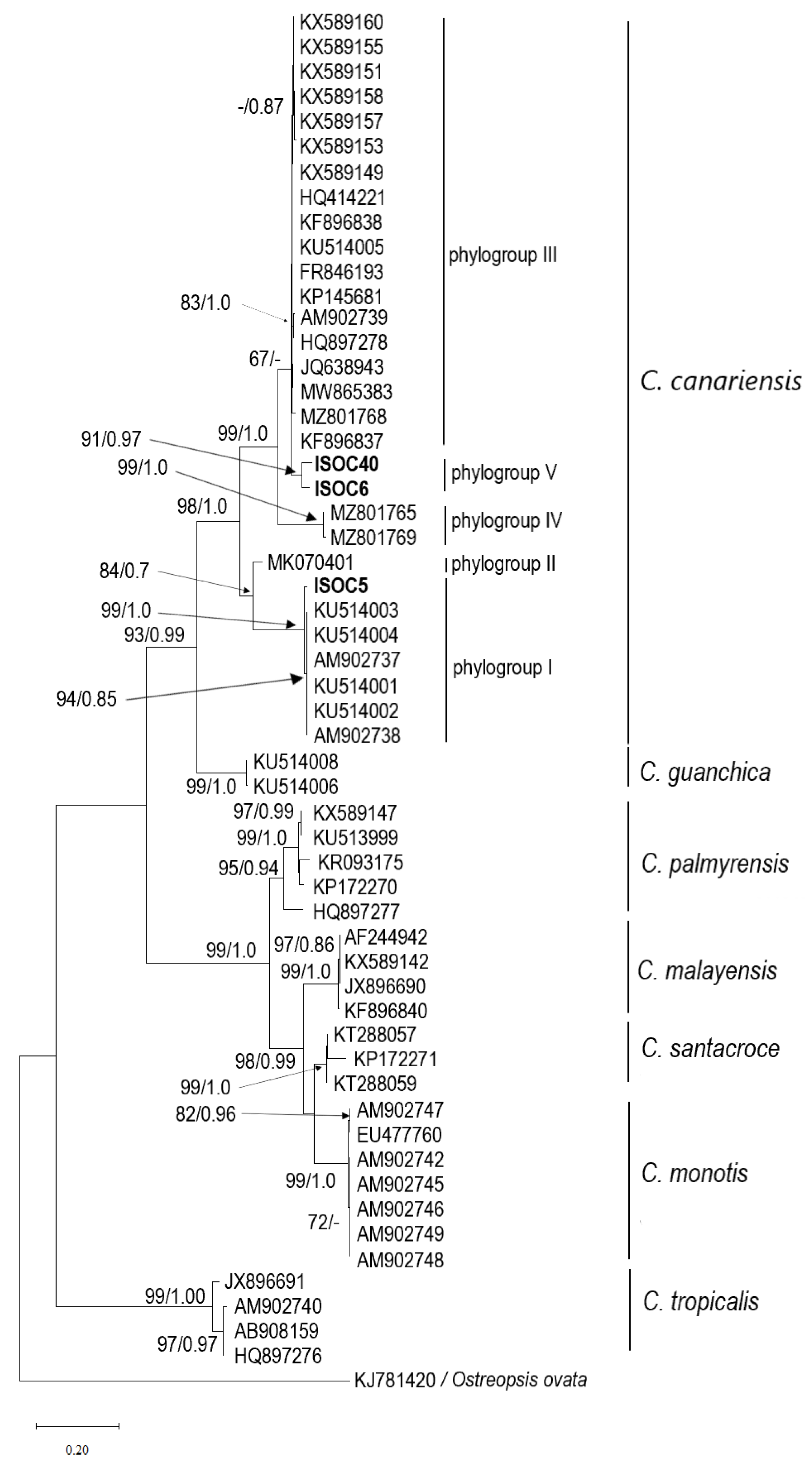 Diversity 17 00154 g009