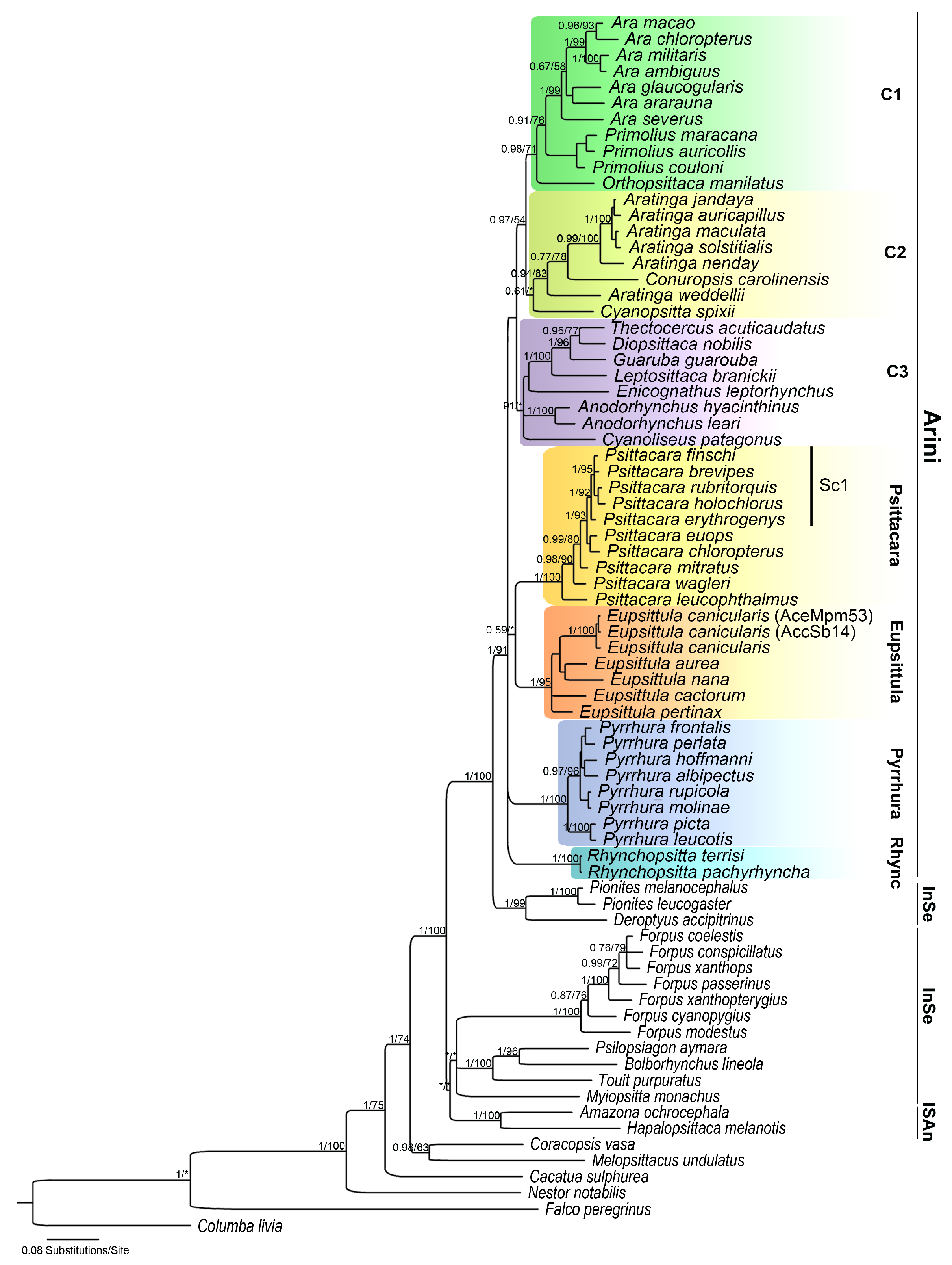 Diversity 17 00155 g002