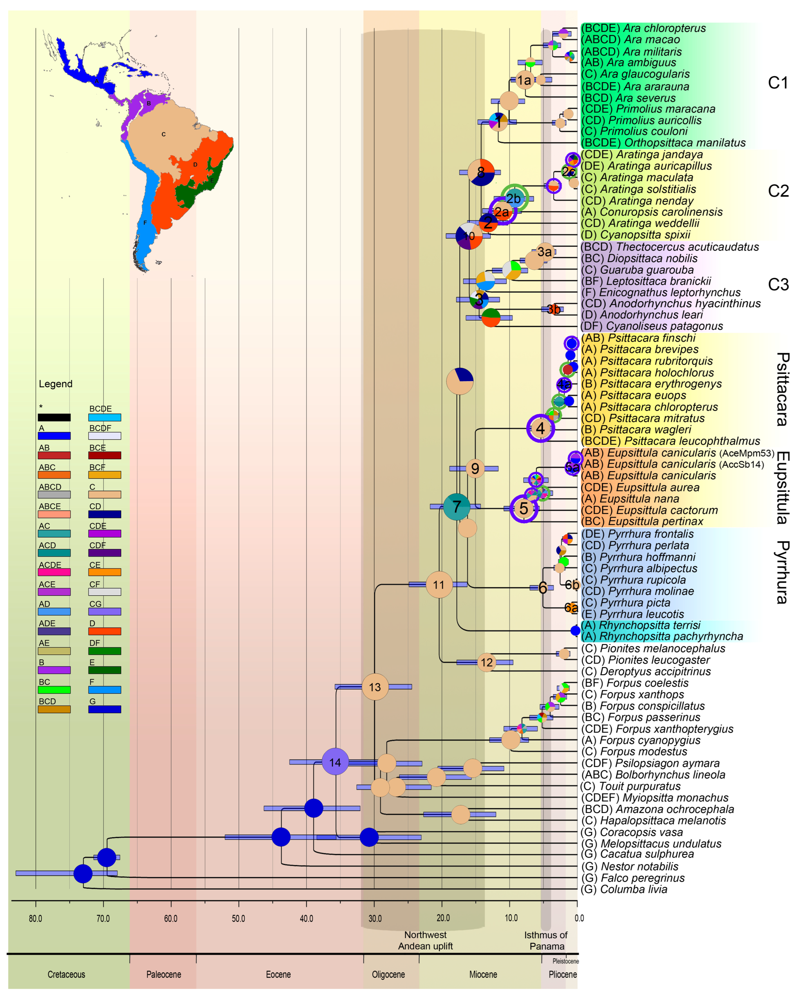 Diversity 17 00155 g003