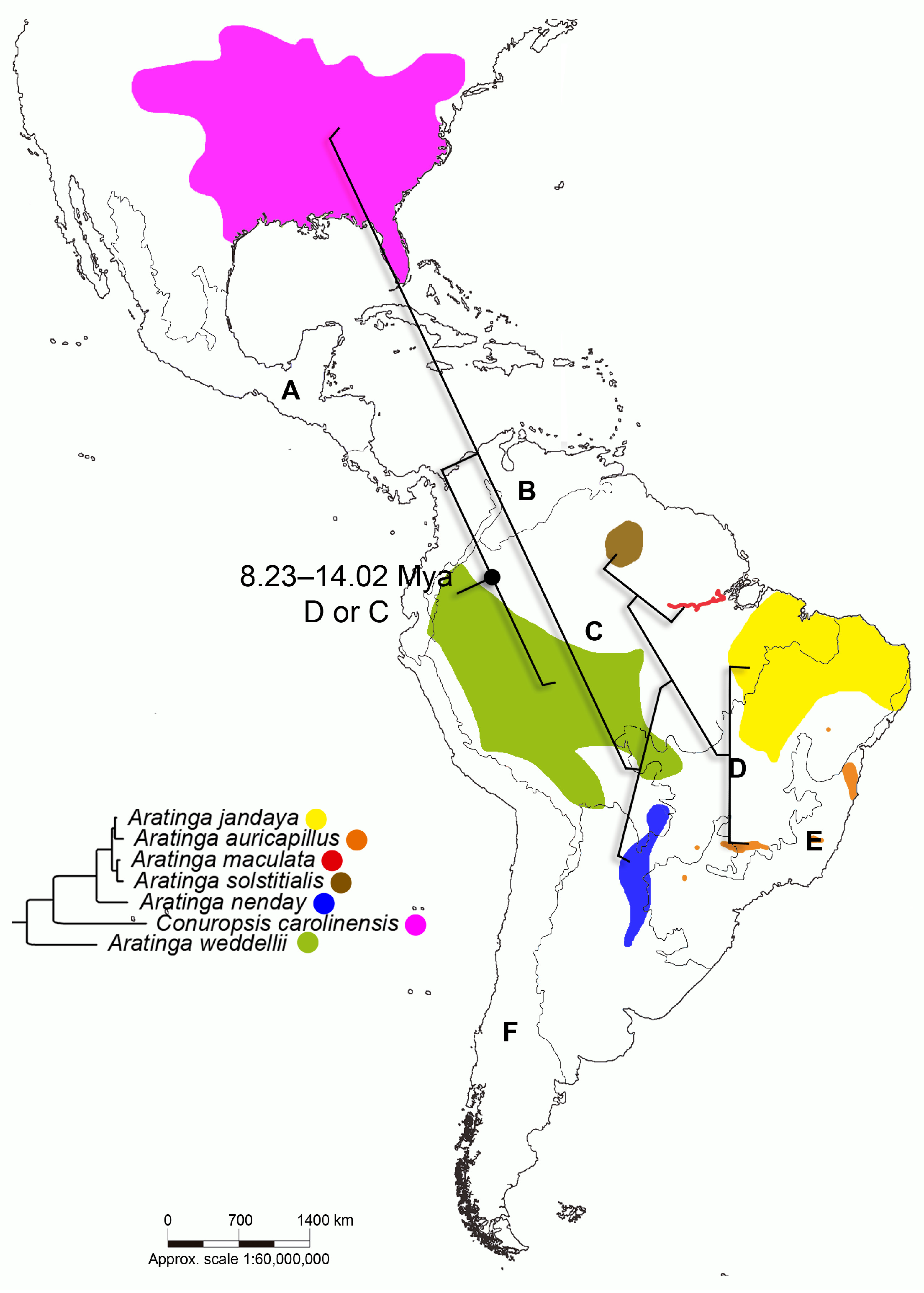 Diversity 17 00155 g004