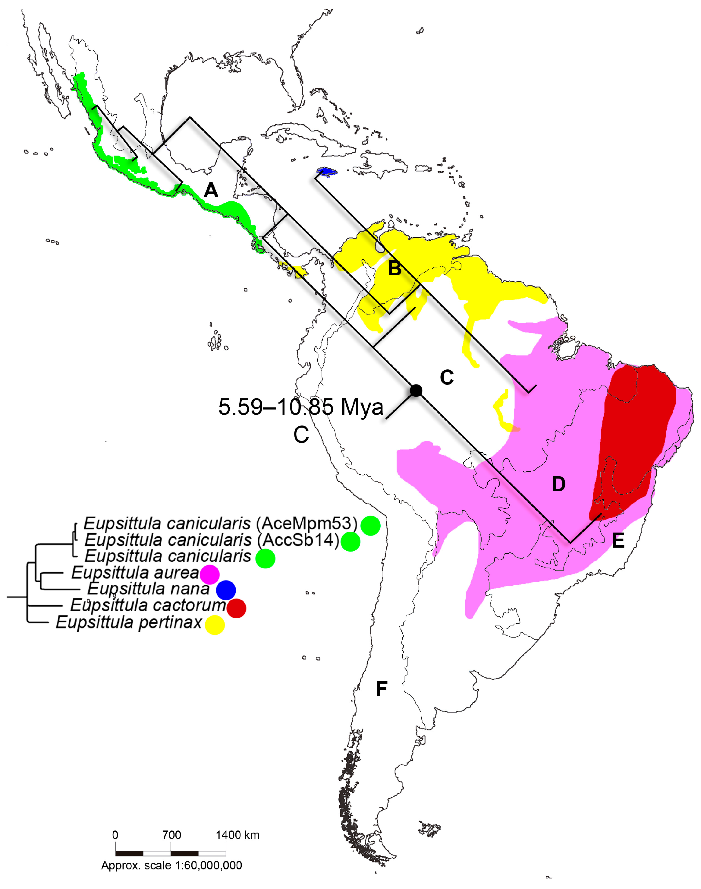 Diversity 17 00155 g005