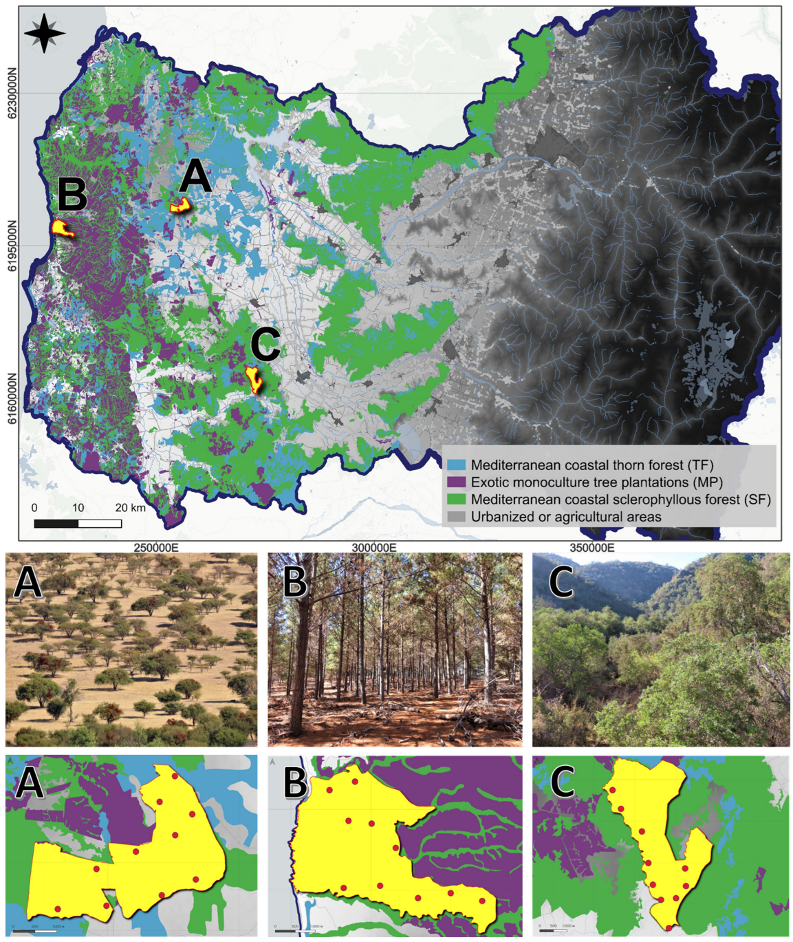 Diversity 17 00156 g001