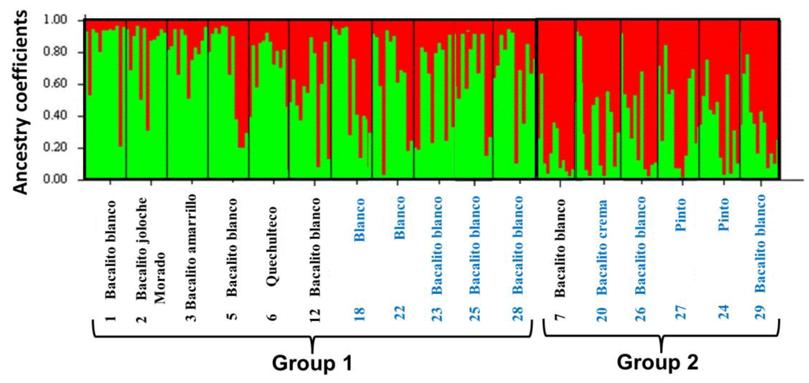 Diversity 17 00159 g003