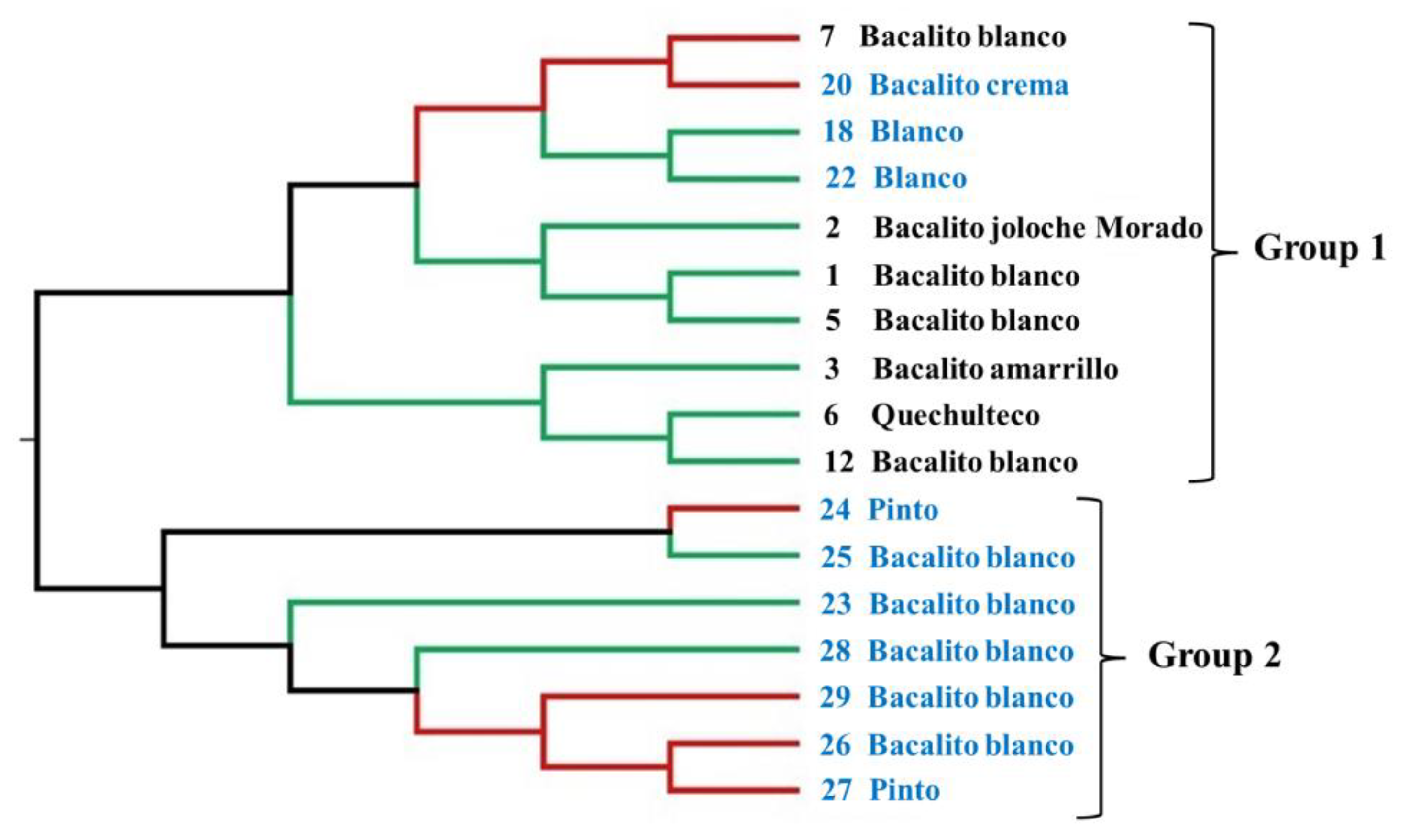 Diversity 17 00159 g004
