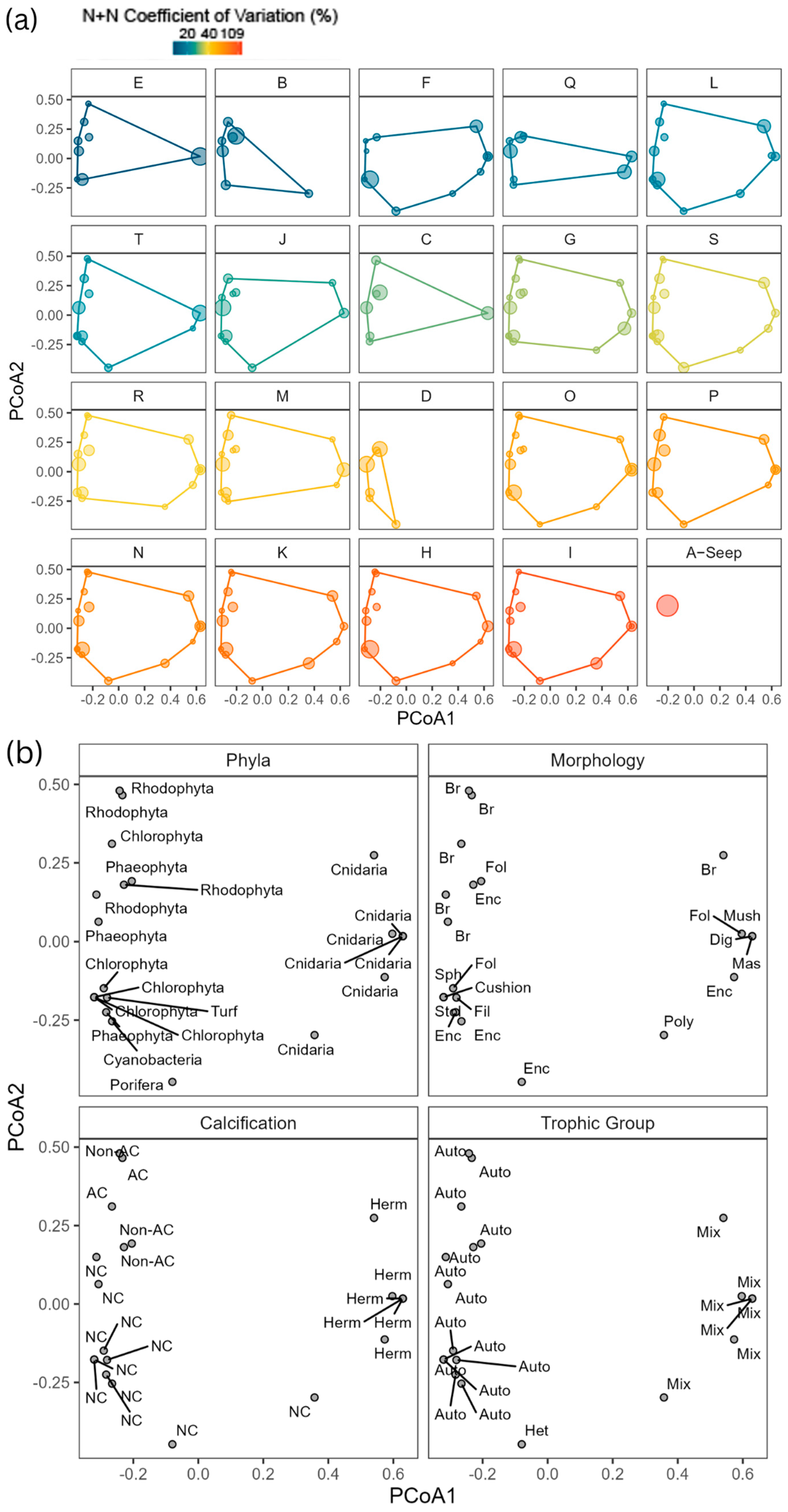 Diversity 17 00161 g004