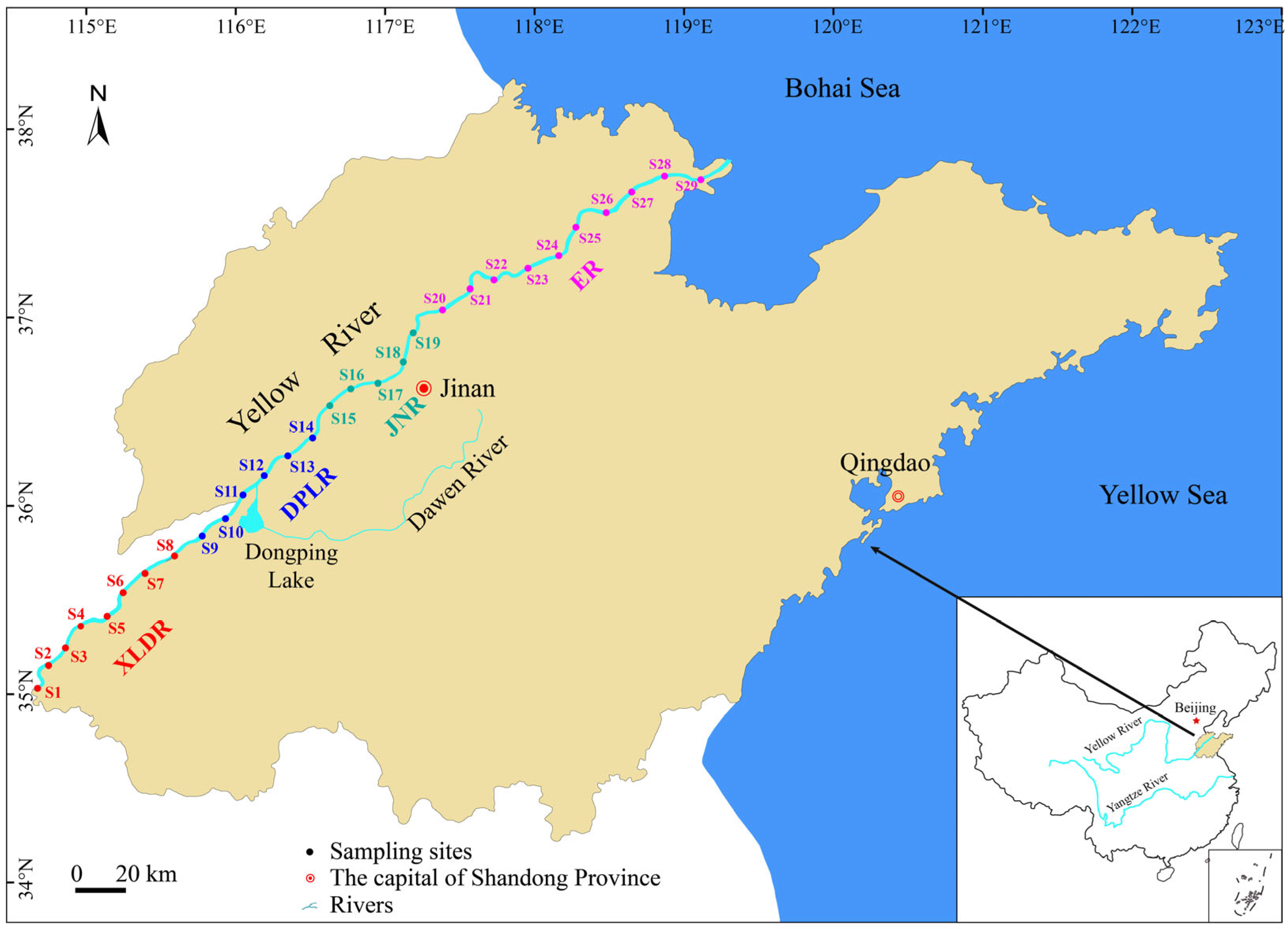 Diversity 17 00162 g001