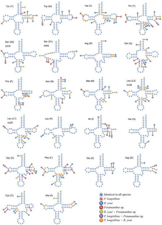 マークH Metal–Organic Frameworks for Sustainable Crop Disease