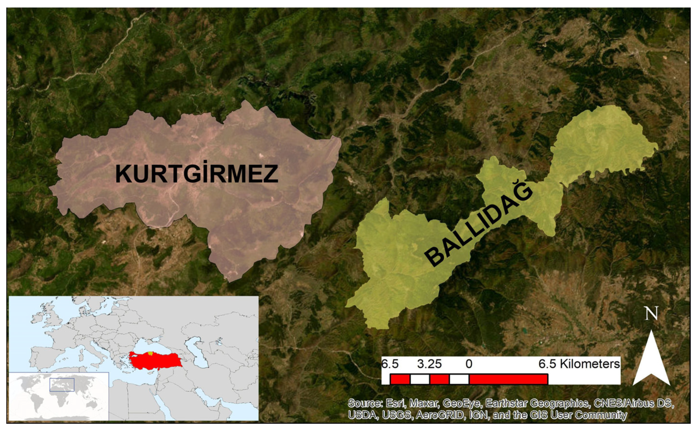 Diversity 17 00165 g001