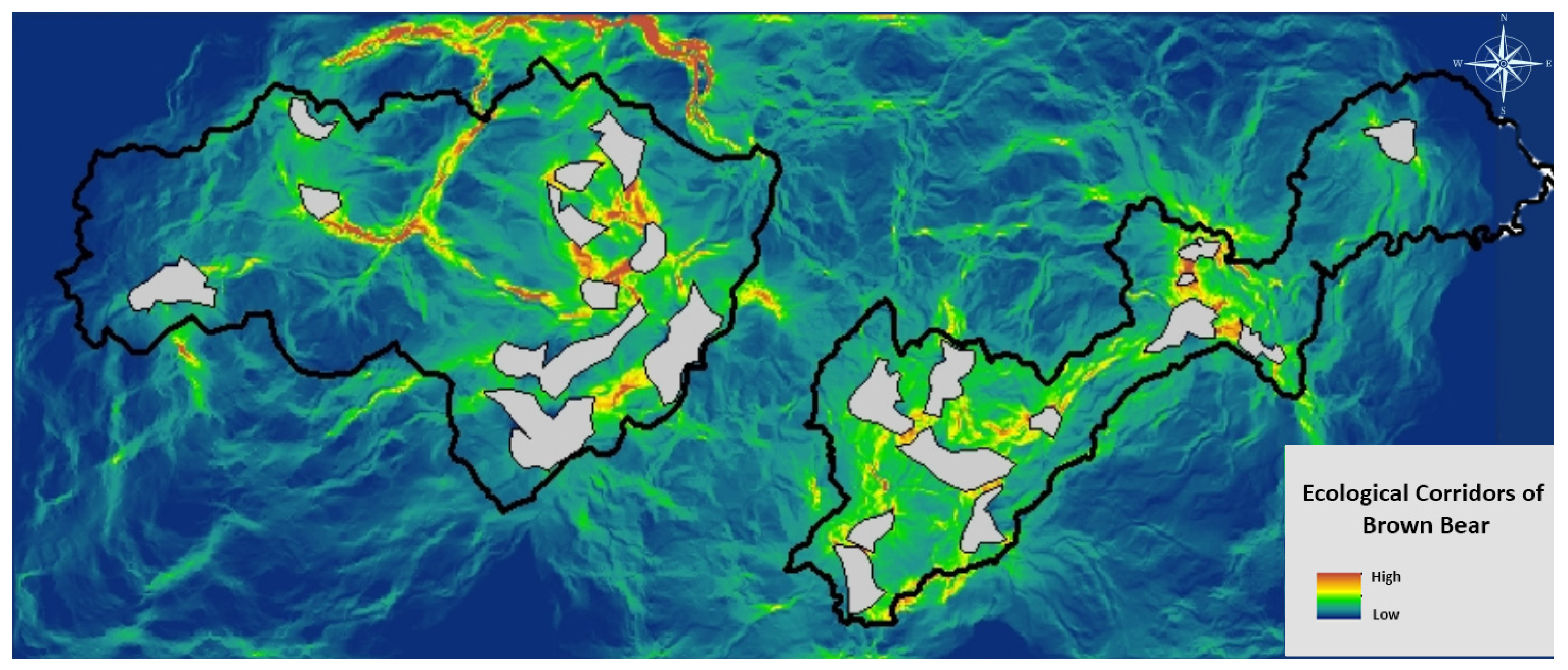 Diversity 17 00165 g012