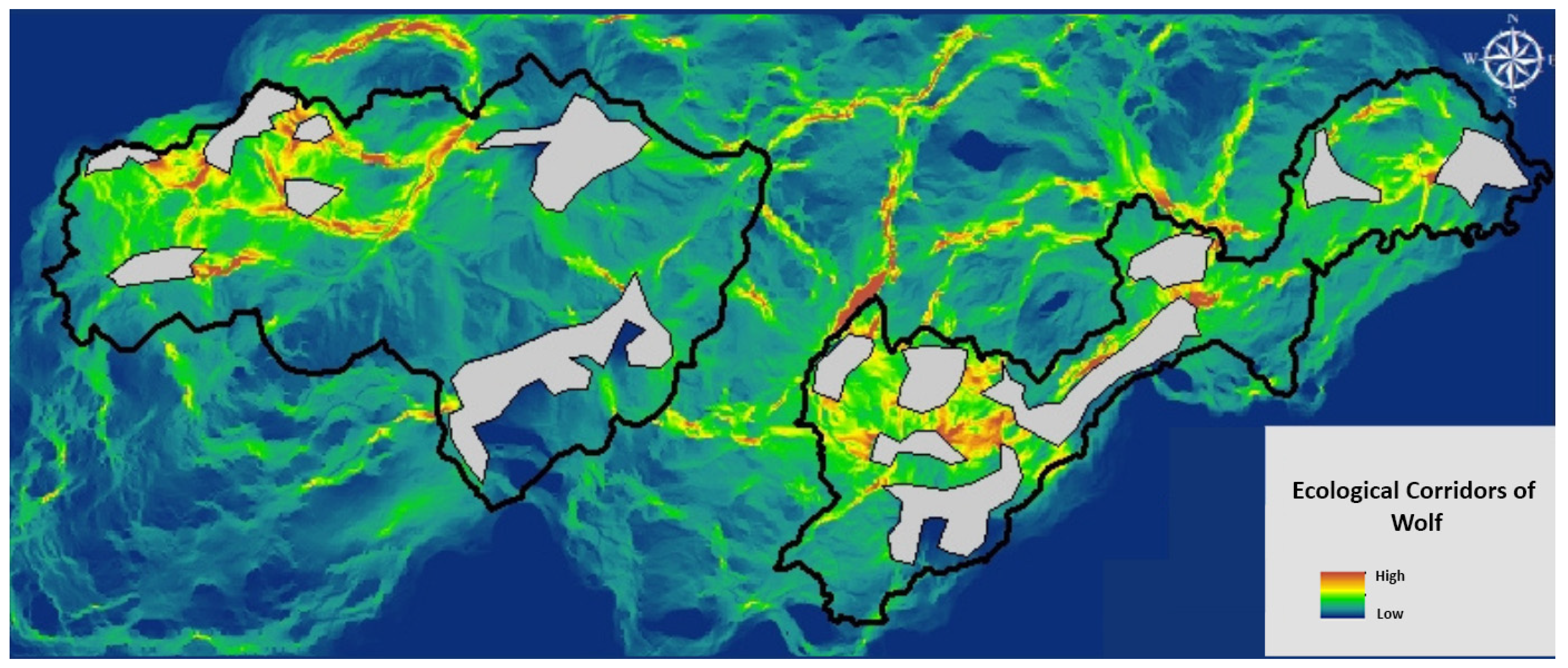 Diversity 17 00165 g013
