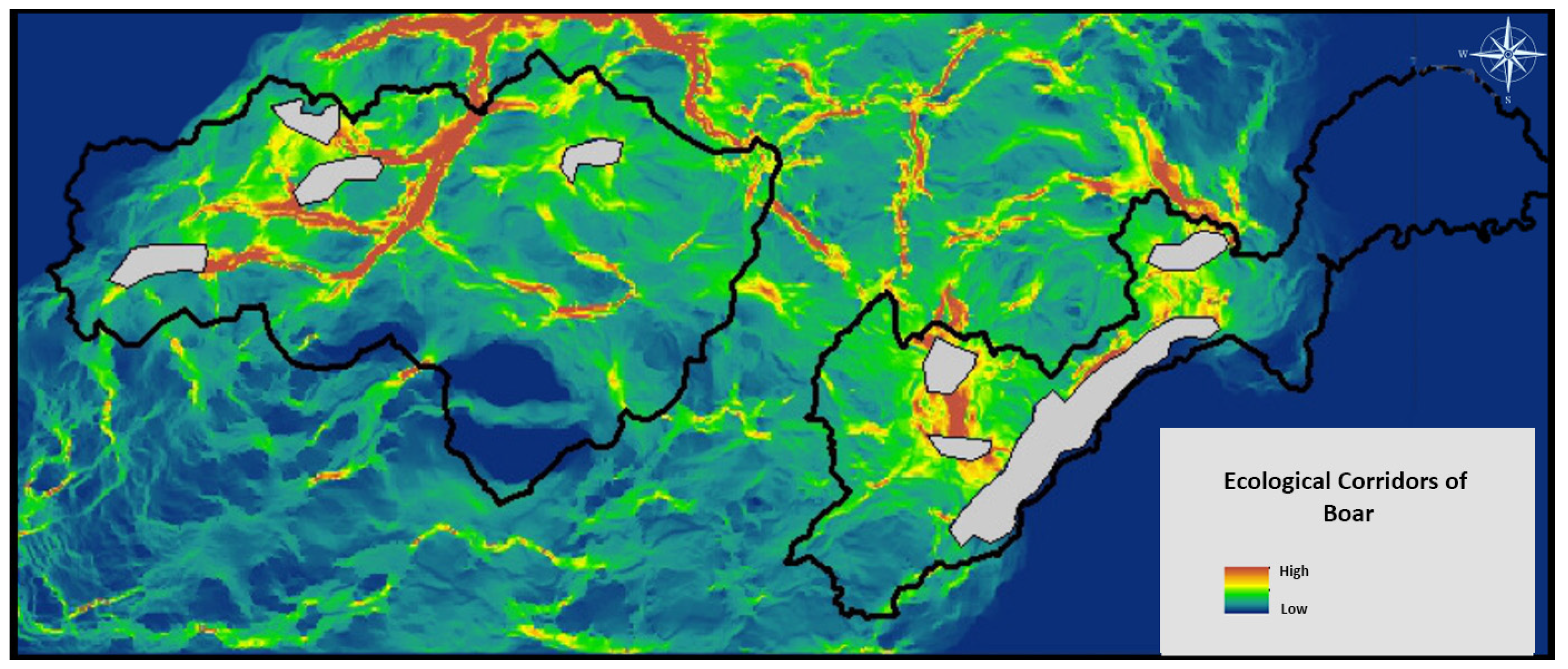 Diversity 17 00165 g014
