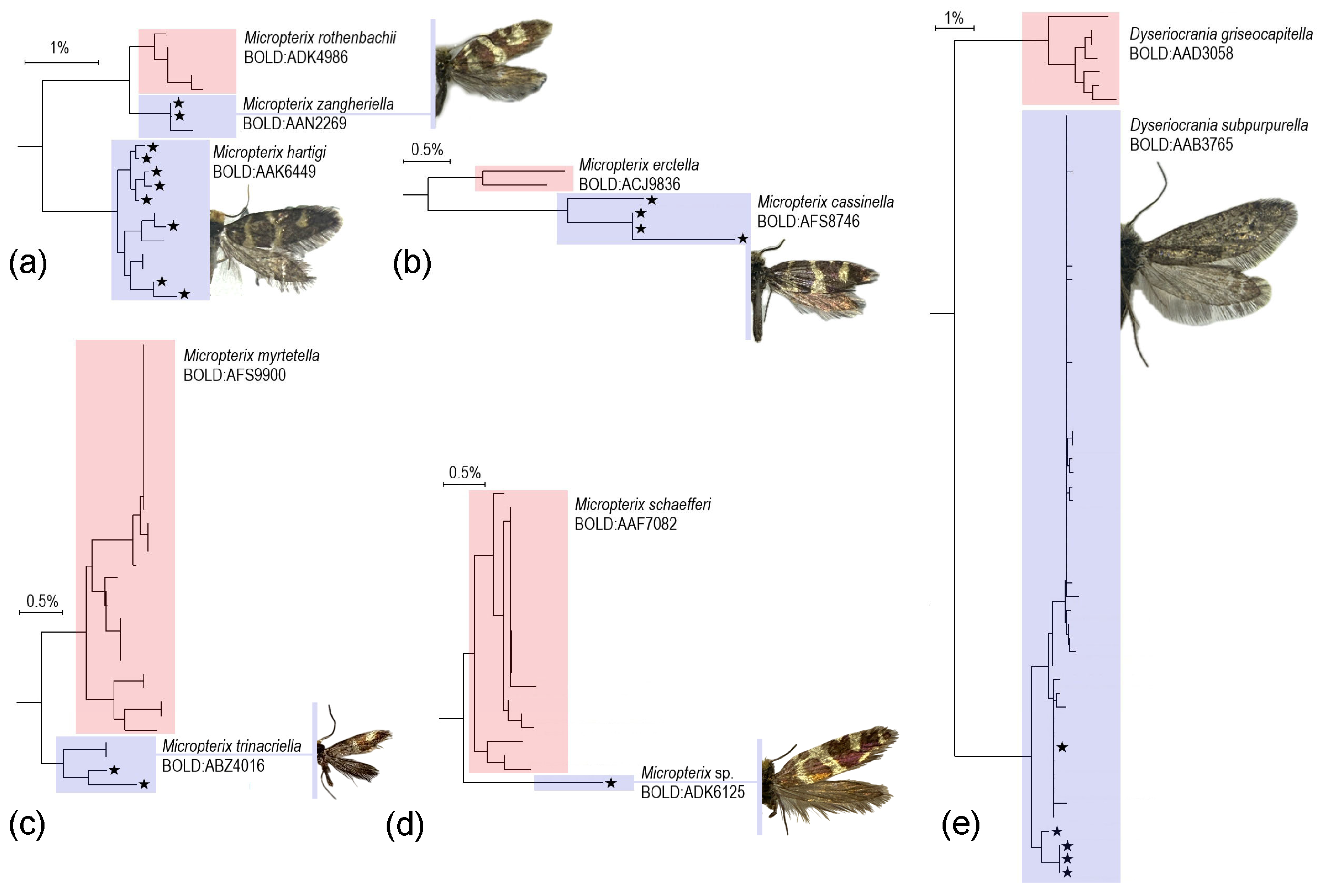 Diversity 17 00169 g001