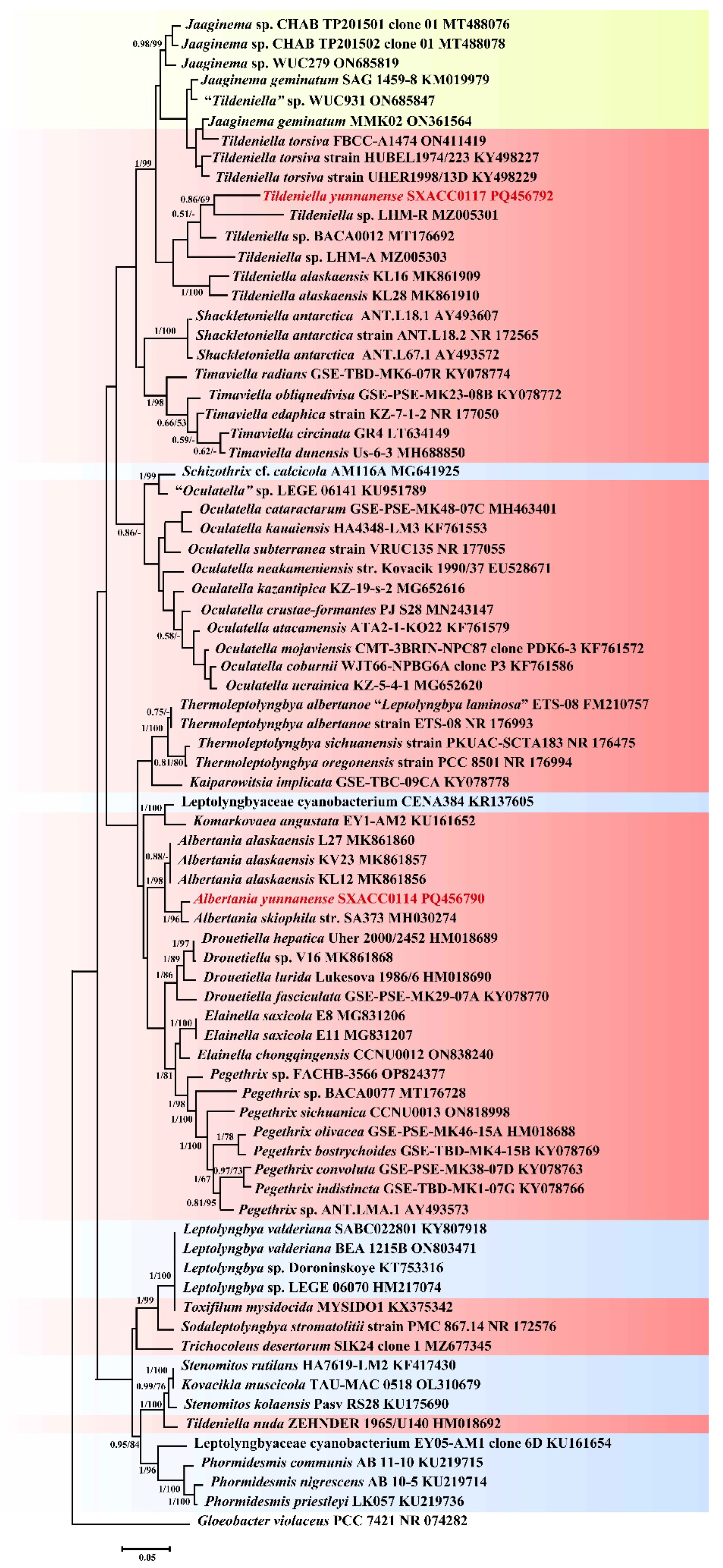Diversity 17 00170 g003