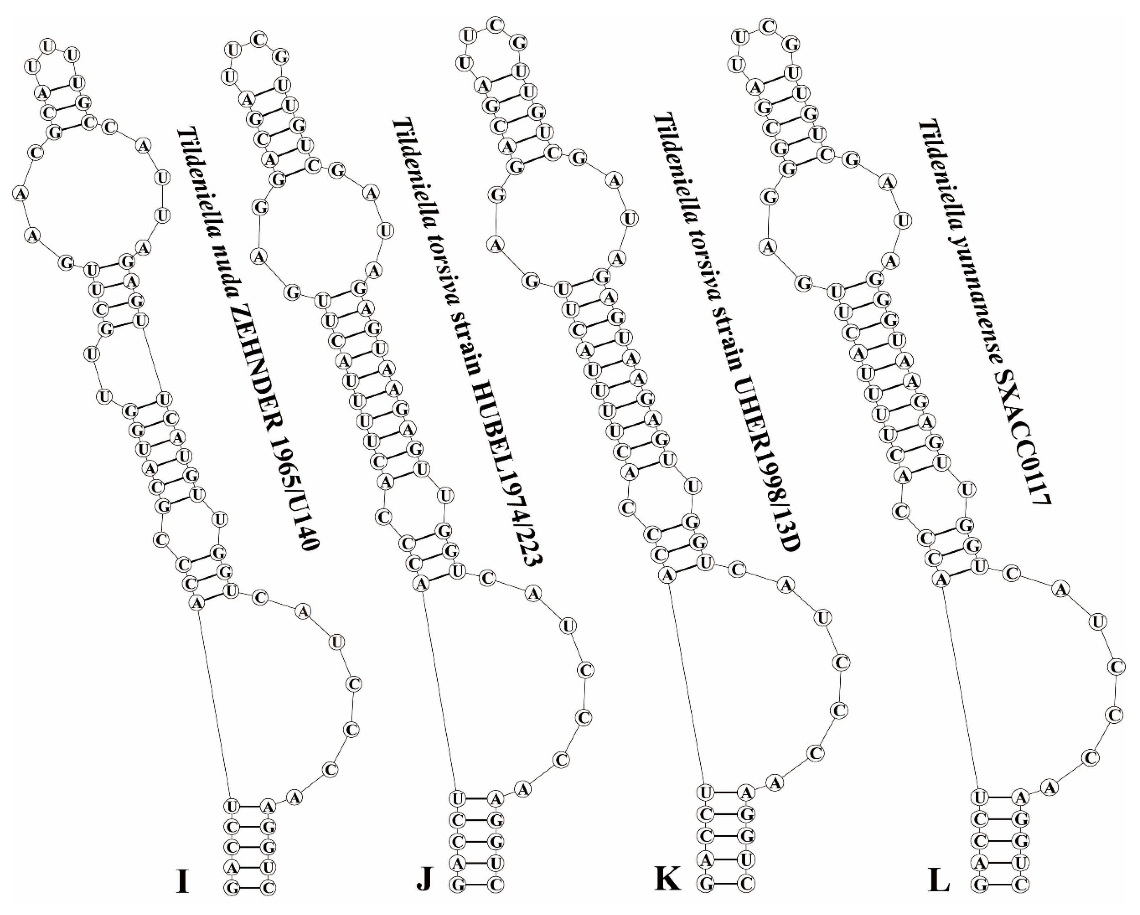 Diversity 17 00170 g004b
