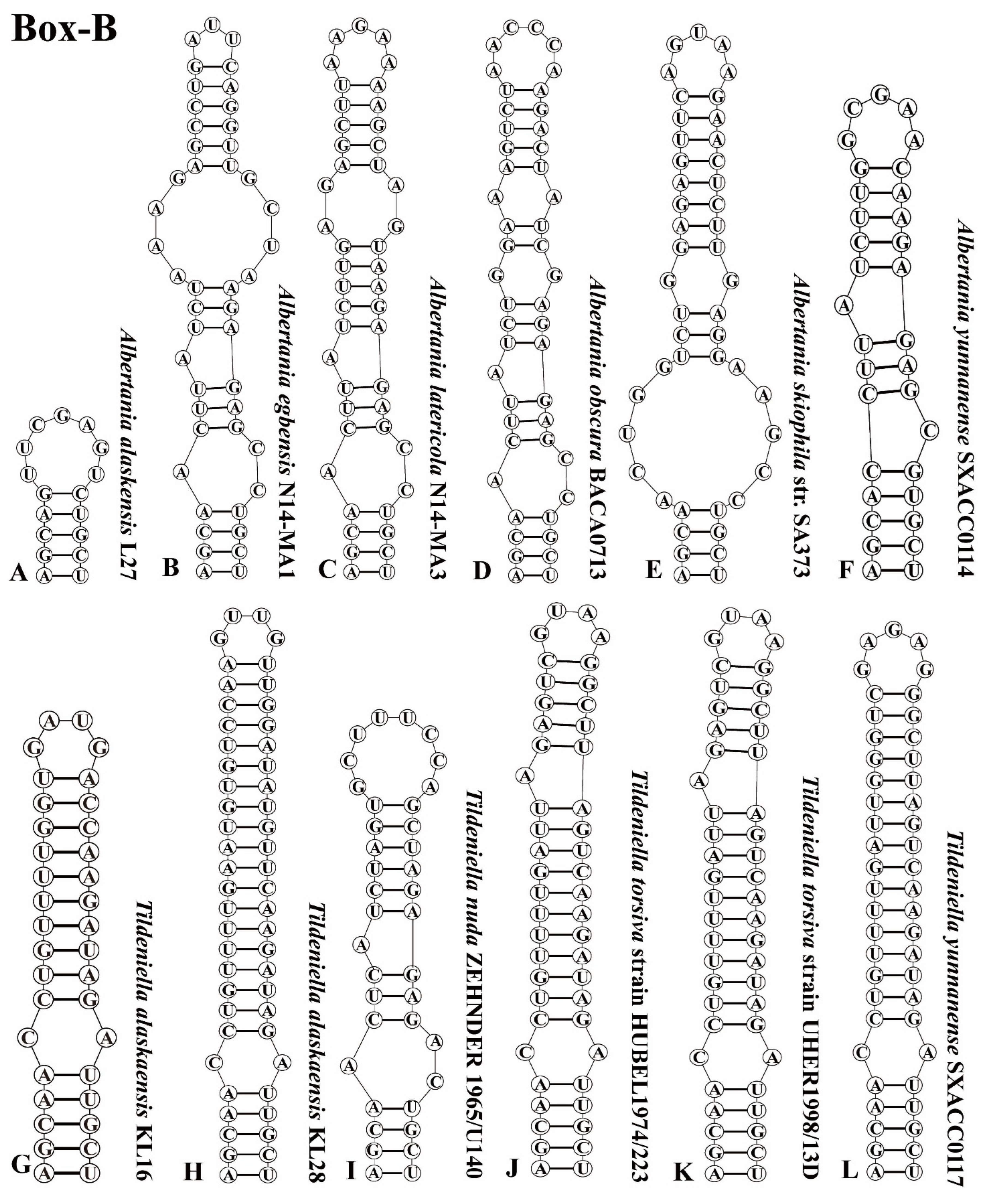 Diversity 17 00170 g005