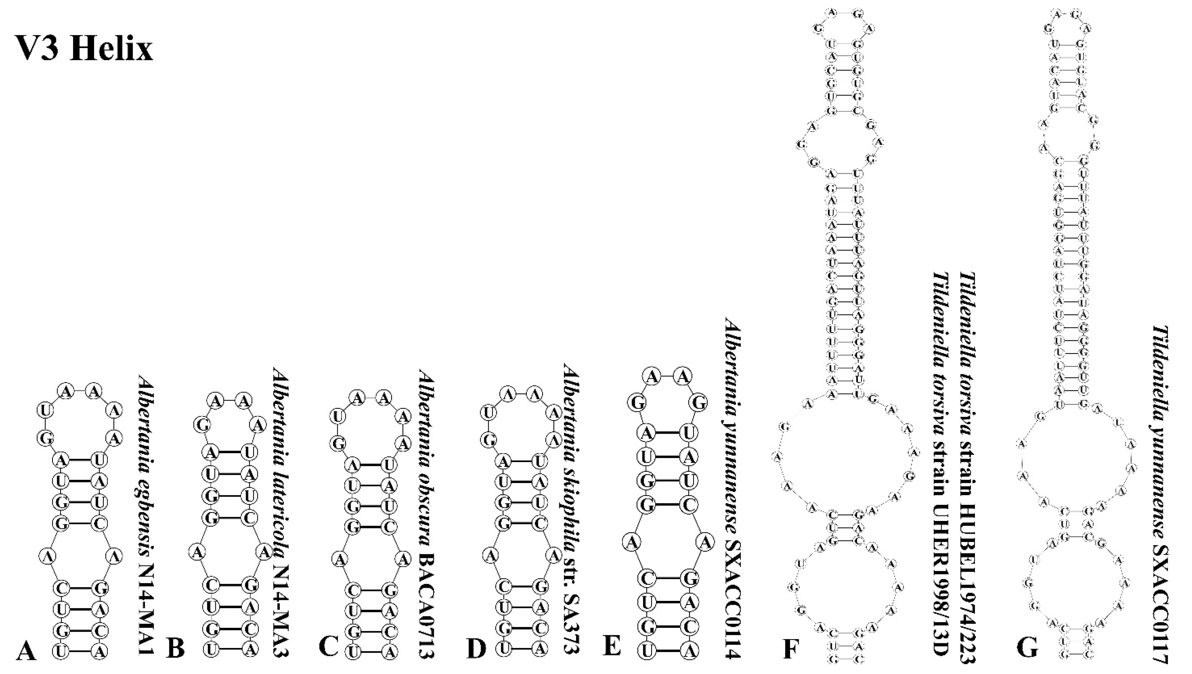 Diversity 17 00170 g006