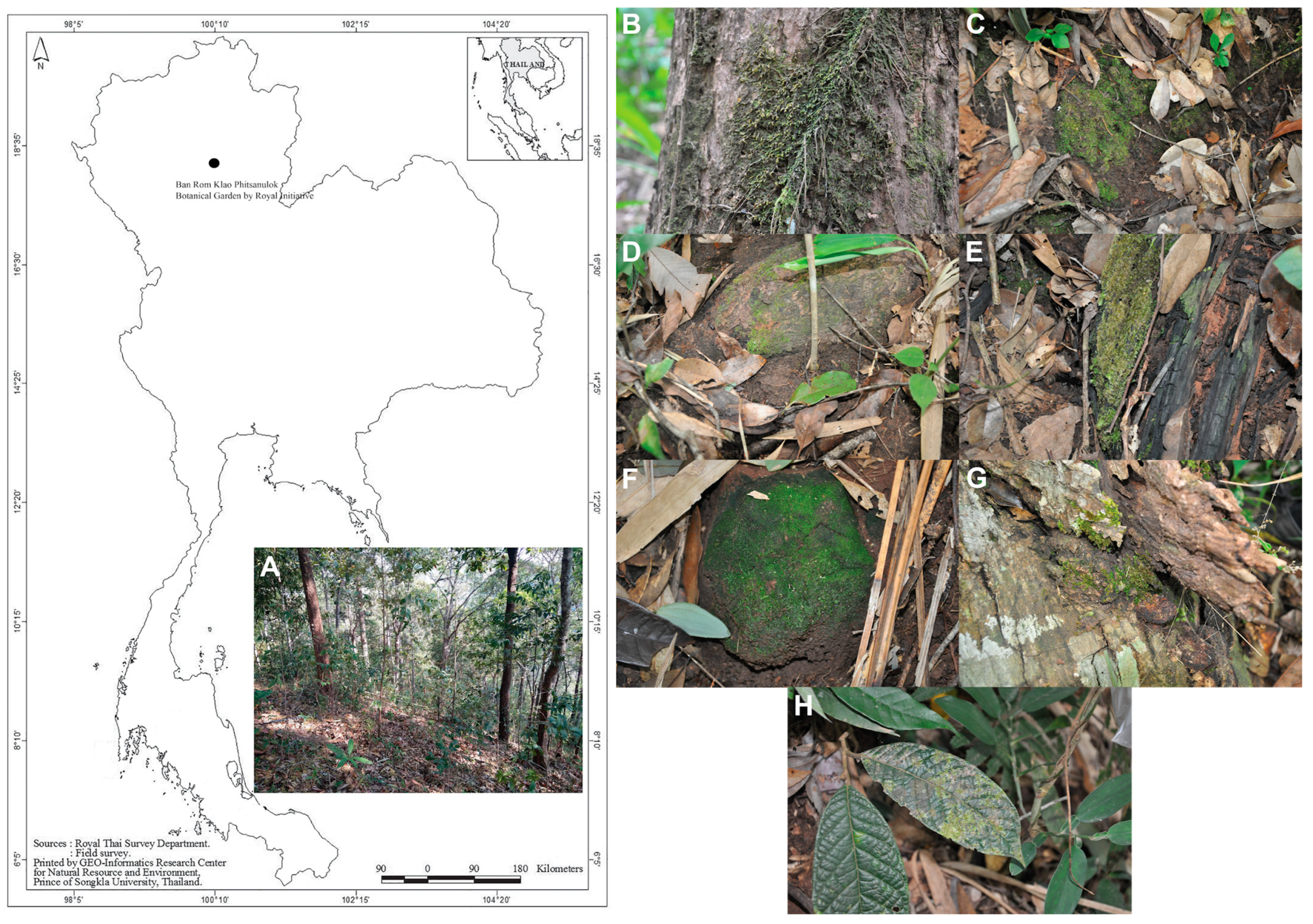 Diversity 17 00171 g001 Diversity 17 00171 g001