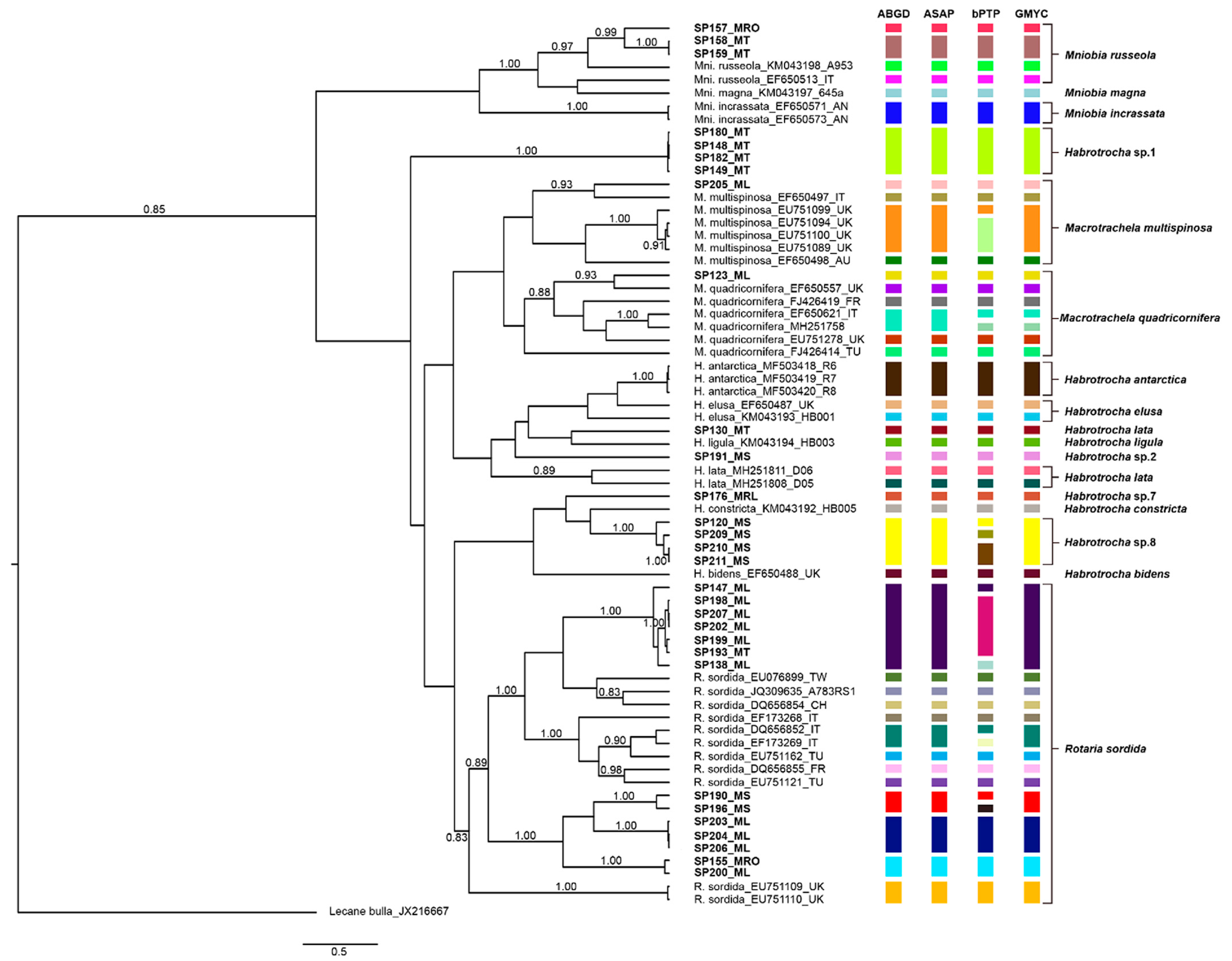Diversity 17 00171 g002 Diversity 17 00171 g002
