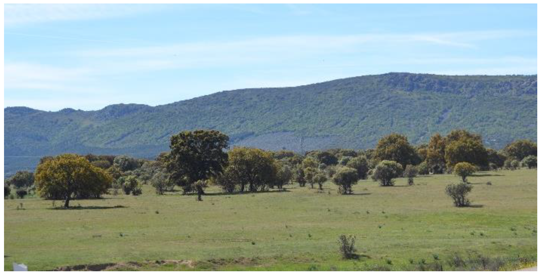 Diversity 17 00172 g007 Diversity 17 00172 g007