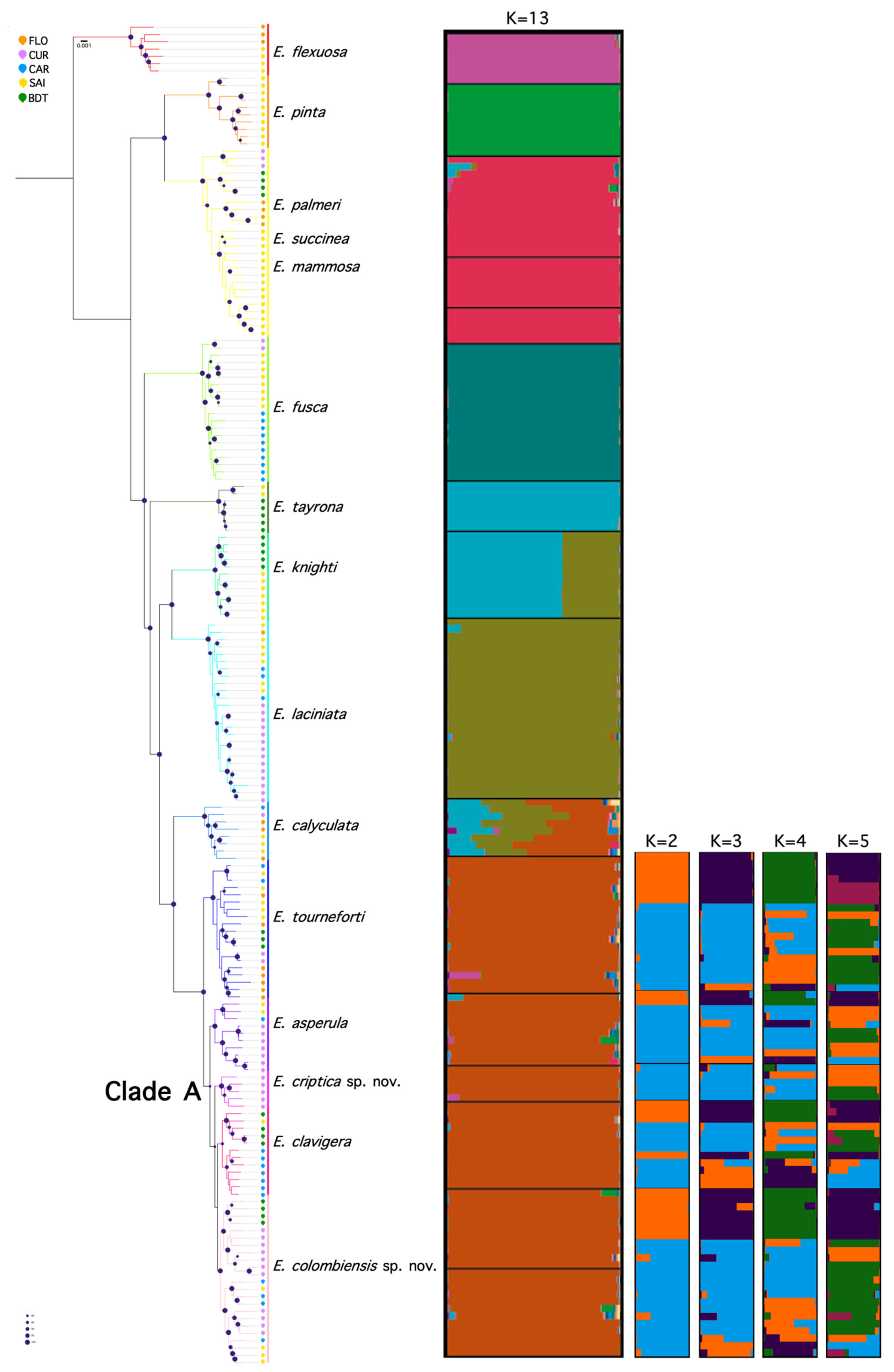Diversity 17 00173 g003