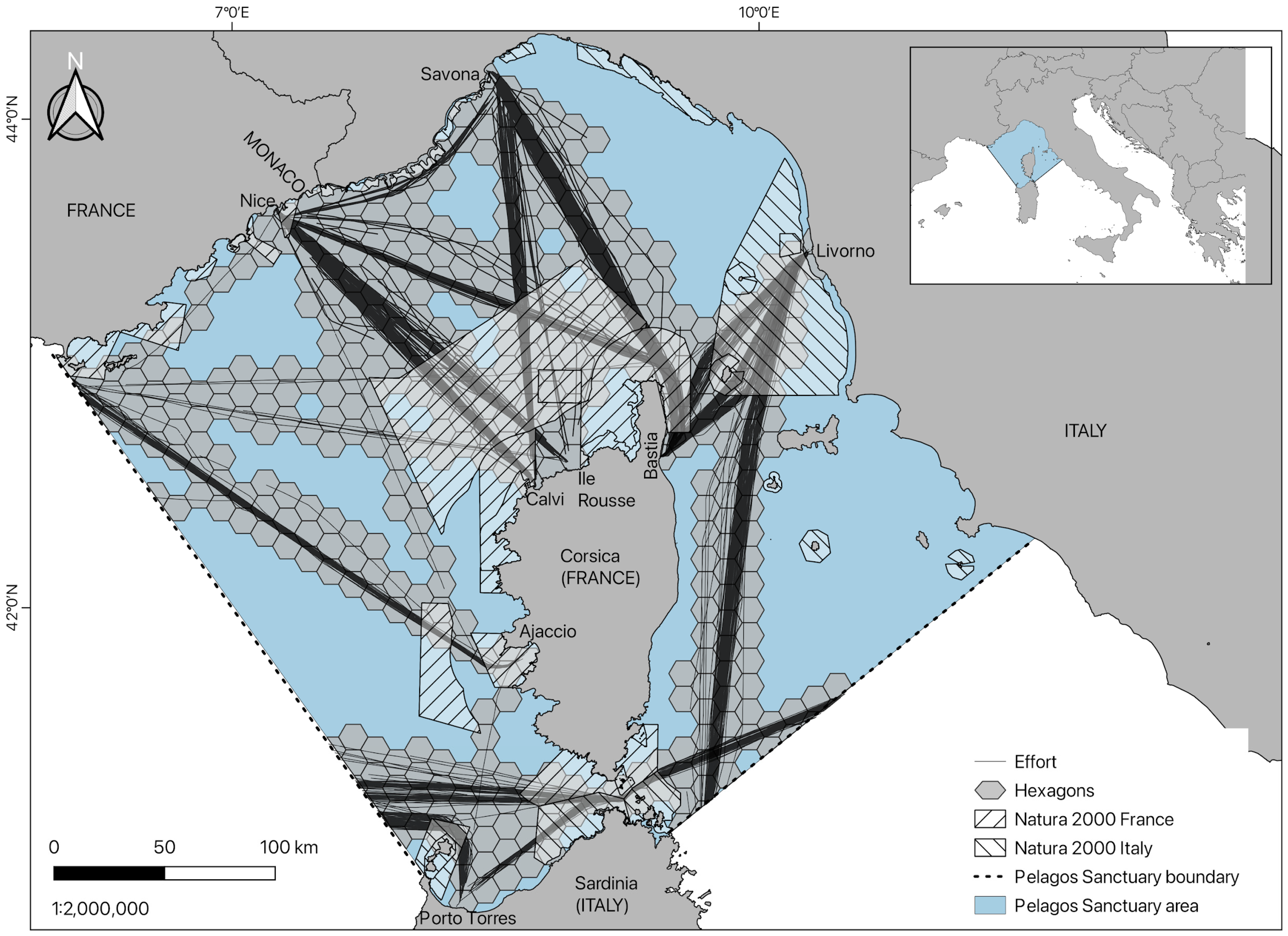 Diversity 17 00174 g001