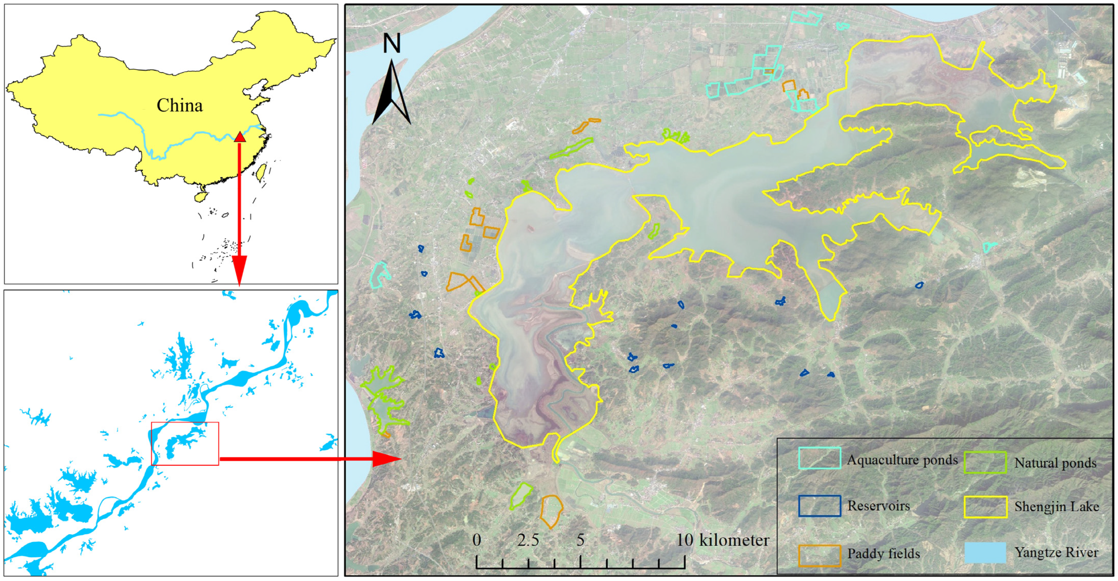 Diversity 17 00176 g001