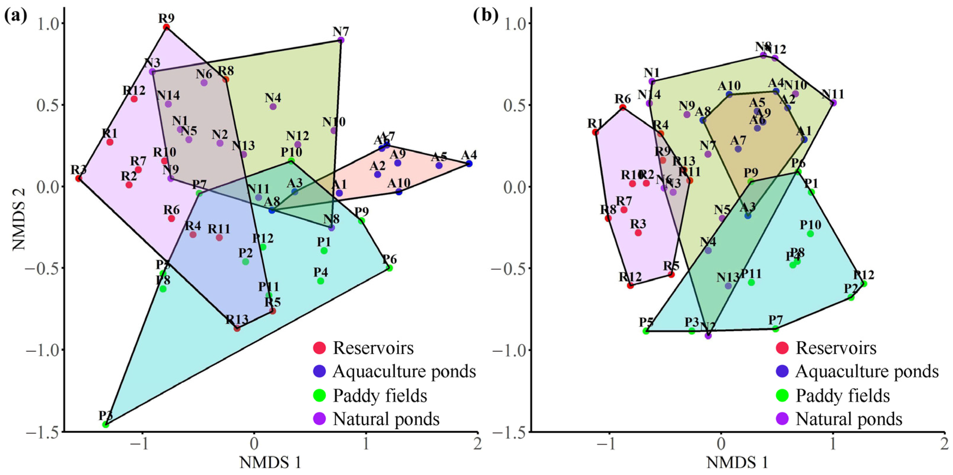 Diversity 17 00176 g003