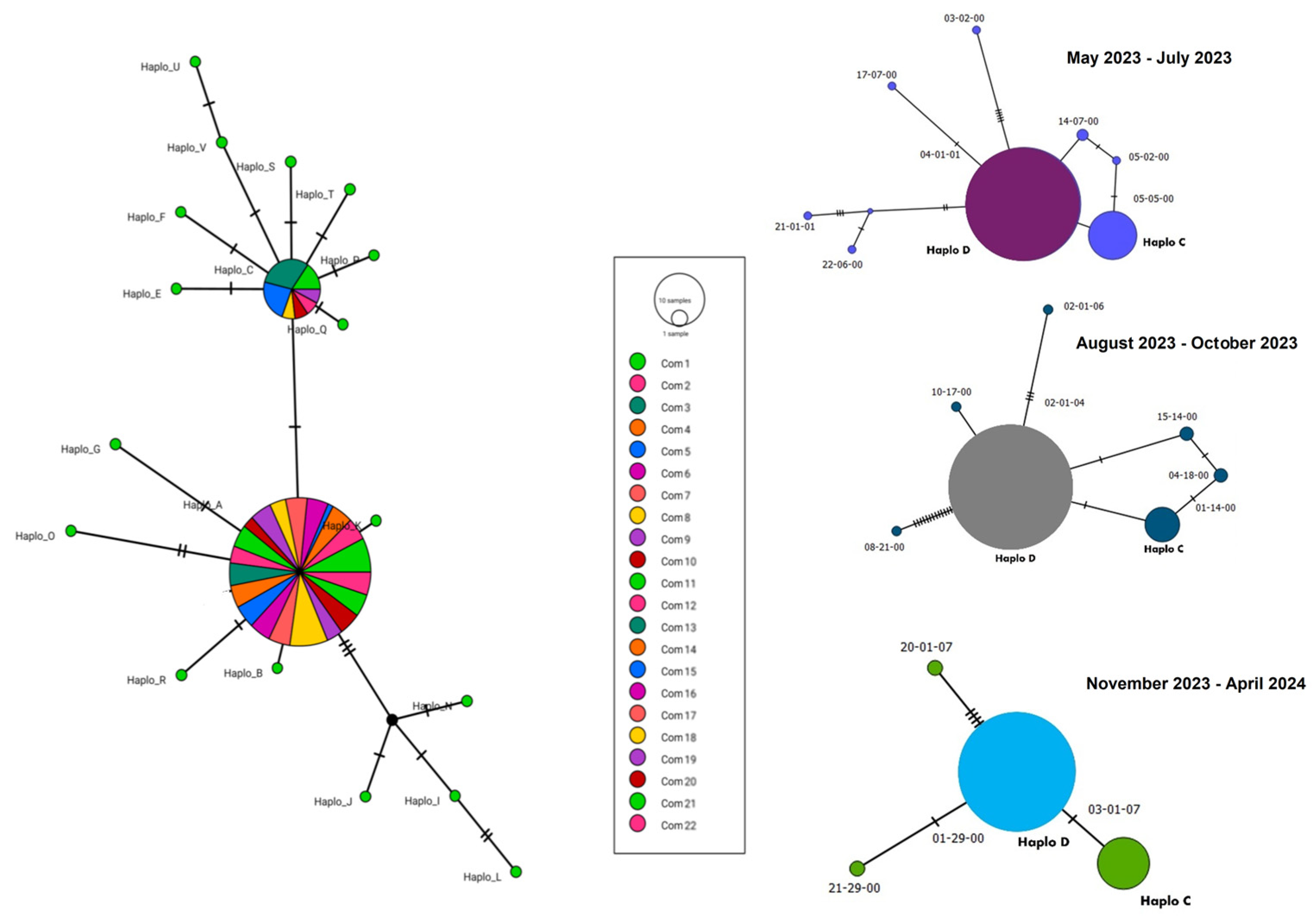 Diversity 17 00177 g002