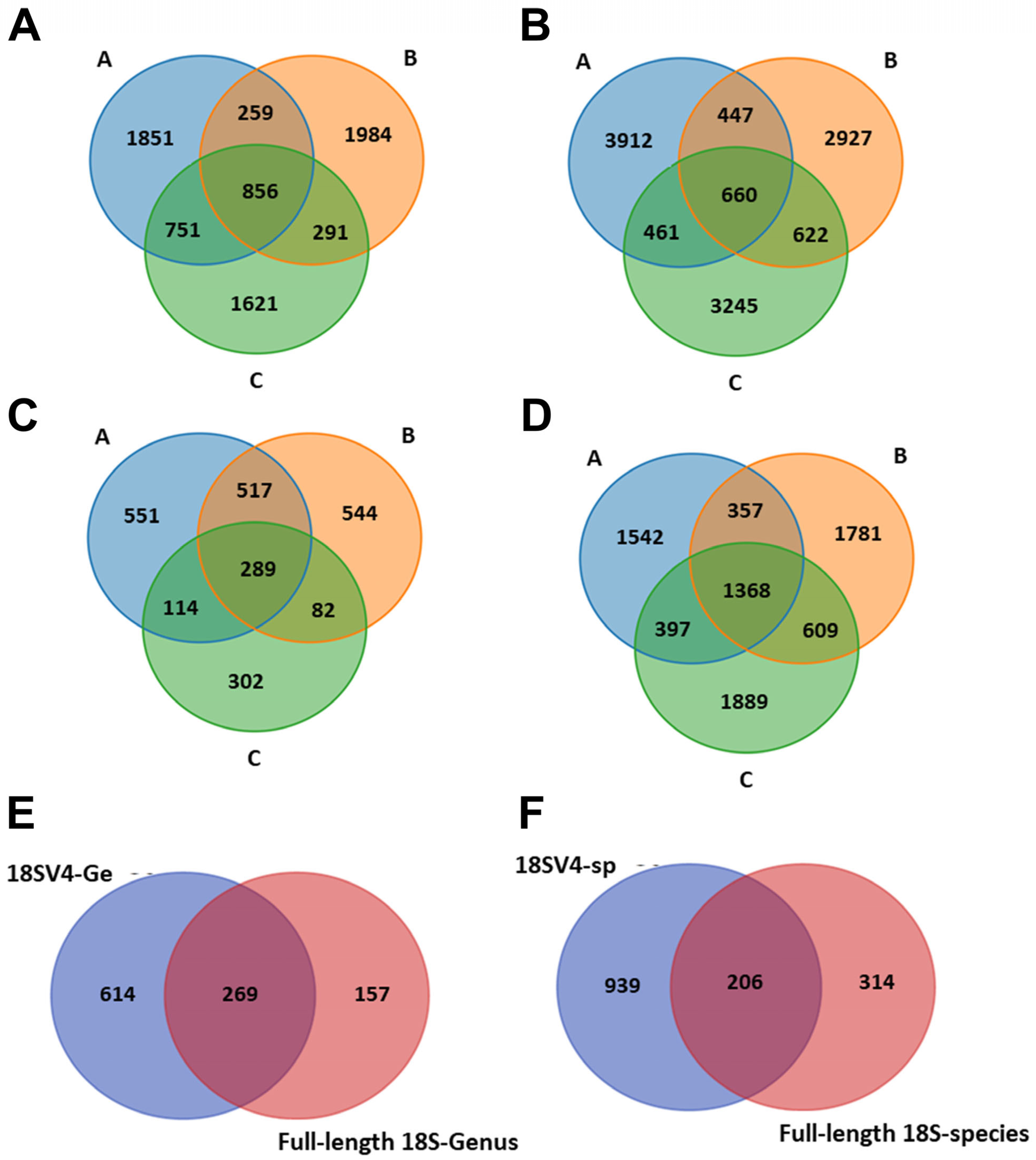 Diversity 17 00179 g002