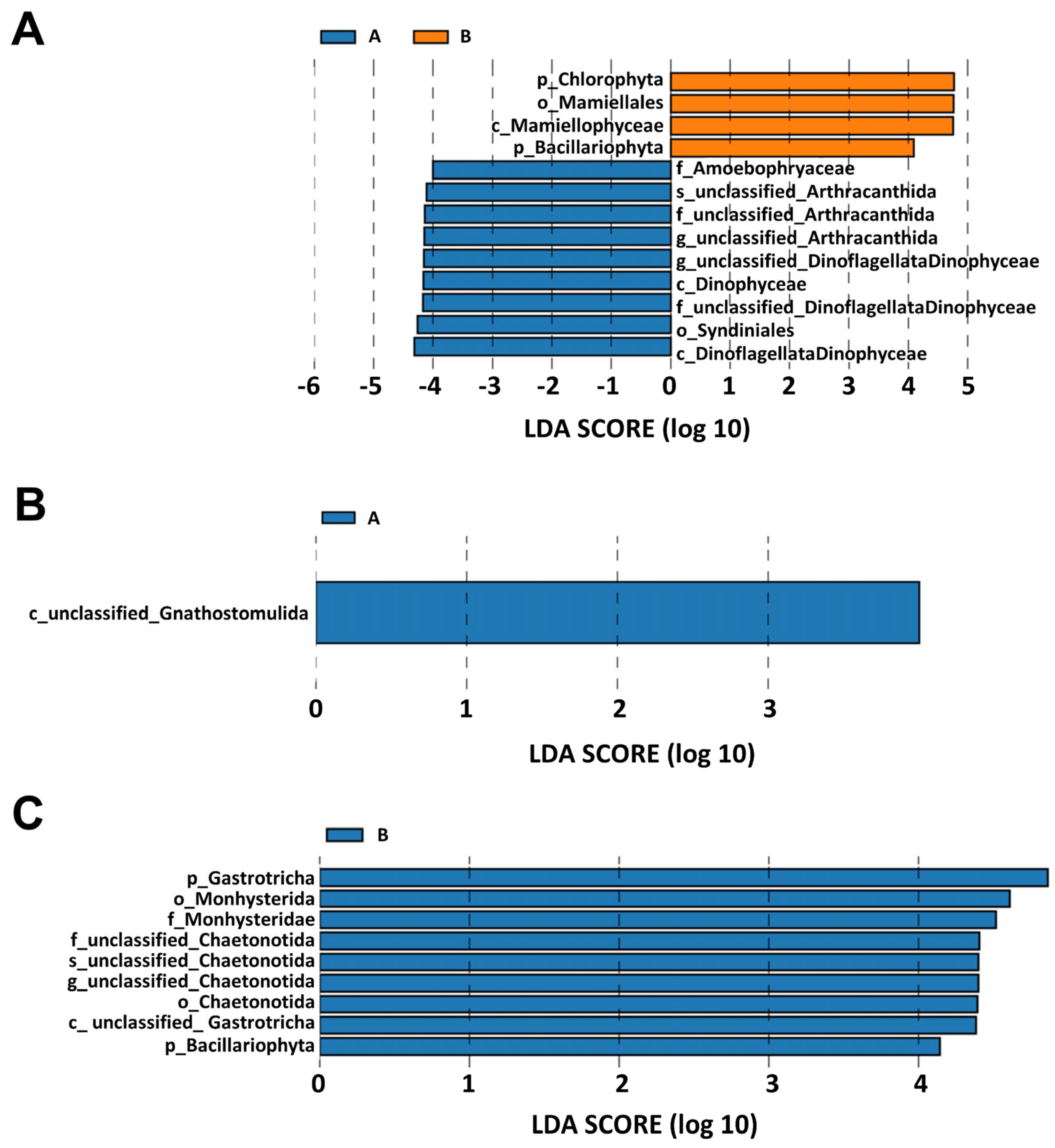 Diversity 17 00179 g008