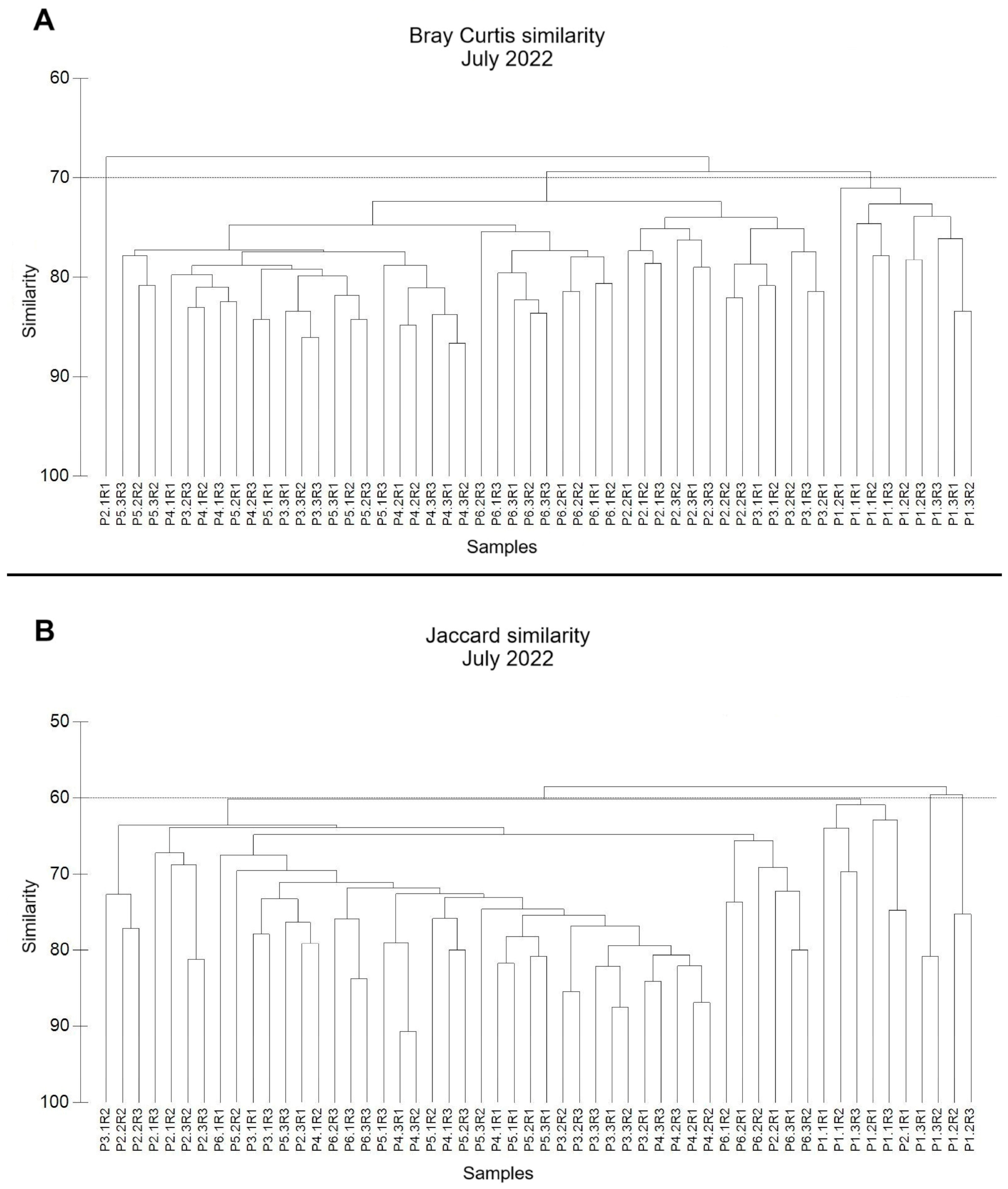 Diversity 17 00181 g005