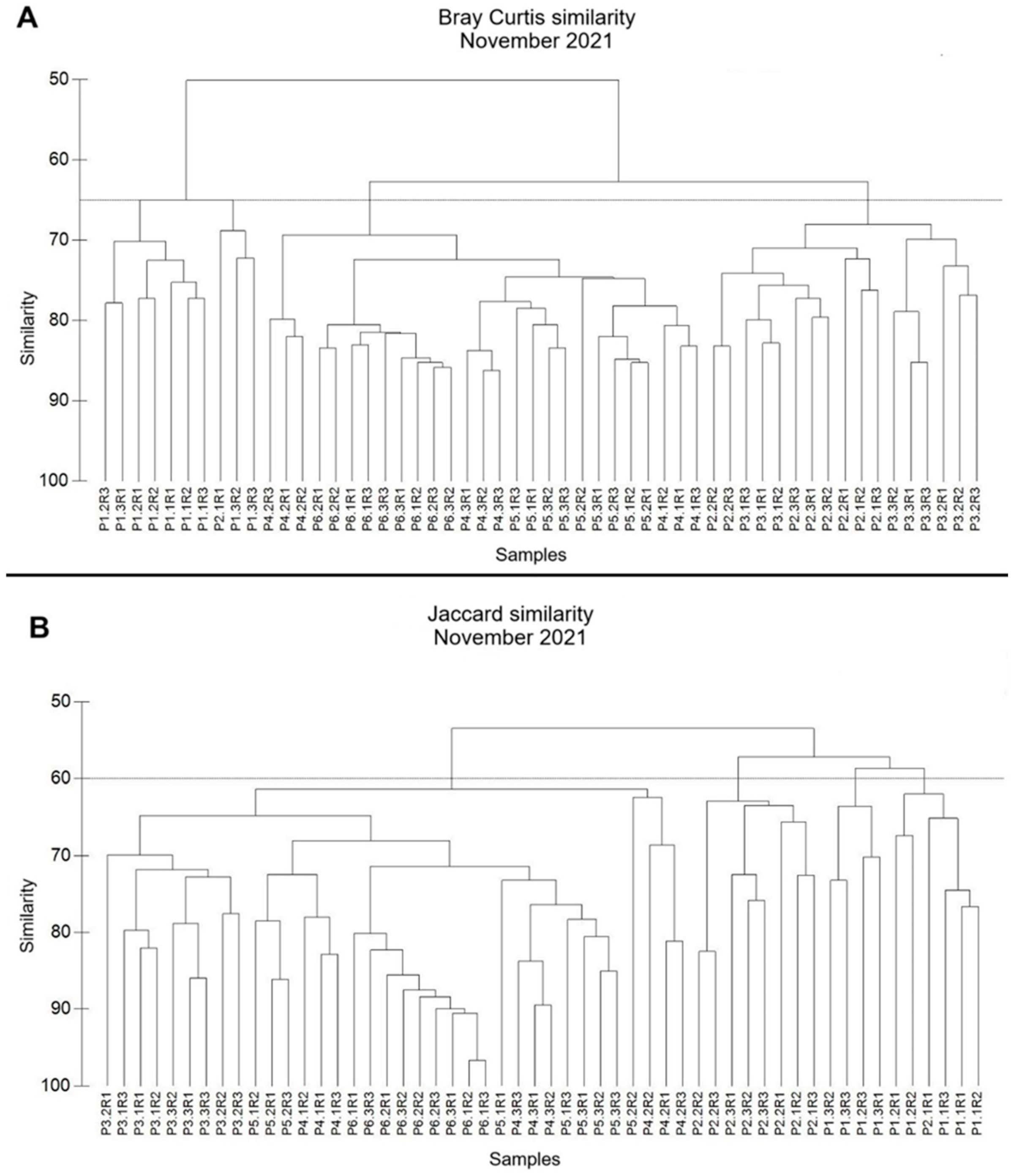 Diversity 17 00181 g006