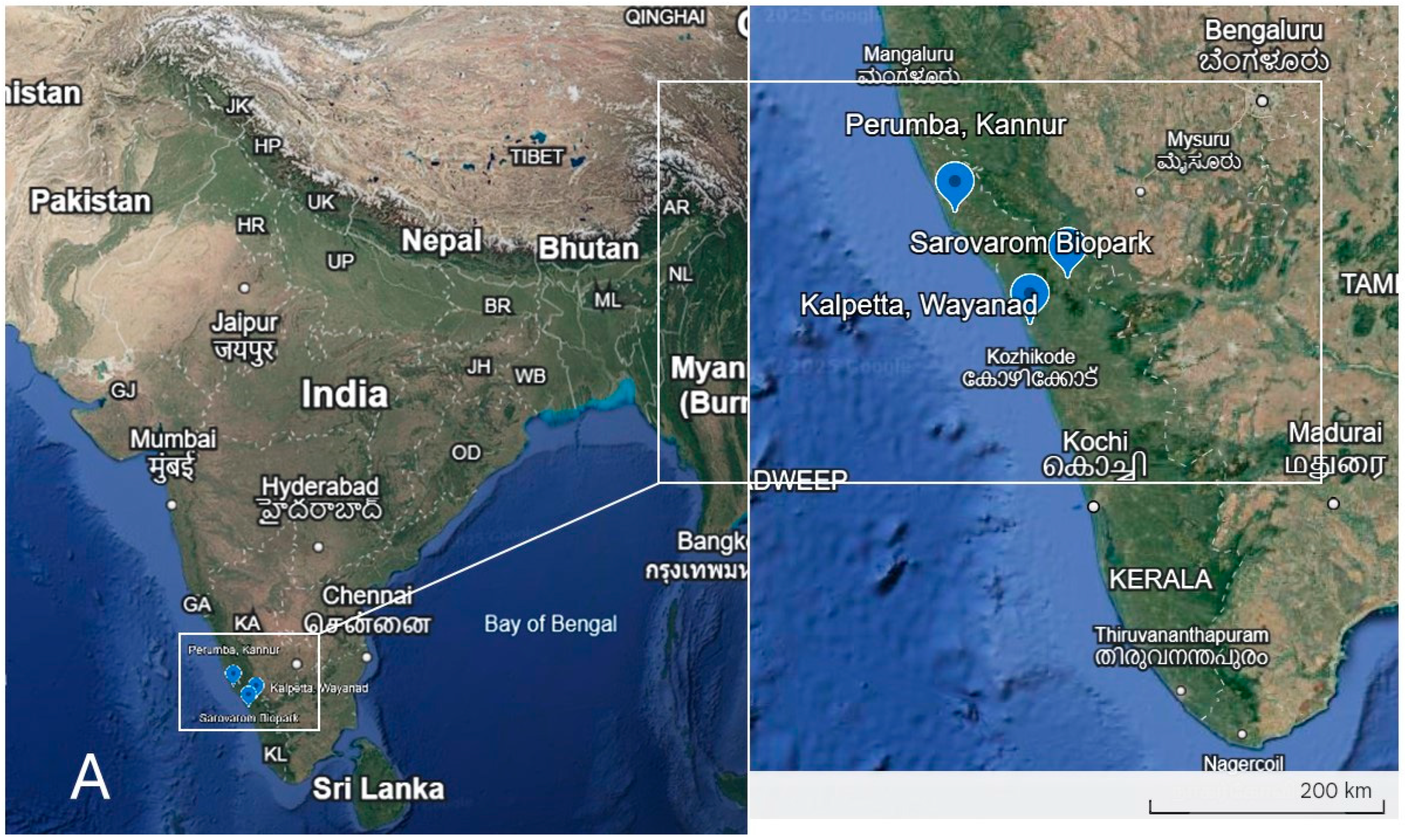 Diversity 17 00184 g001a